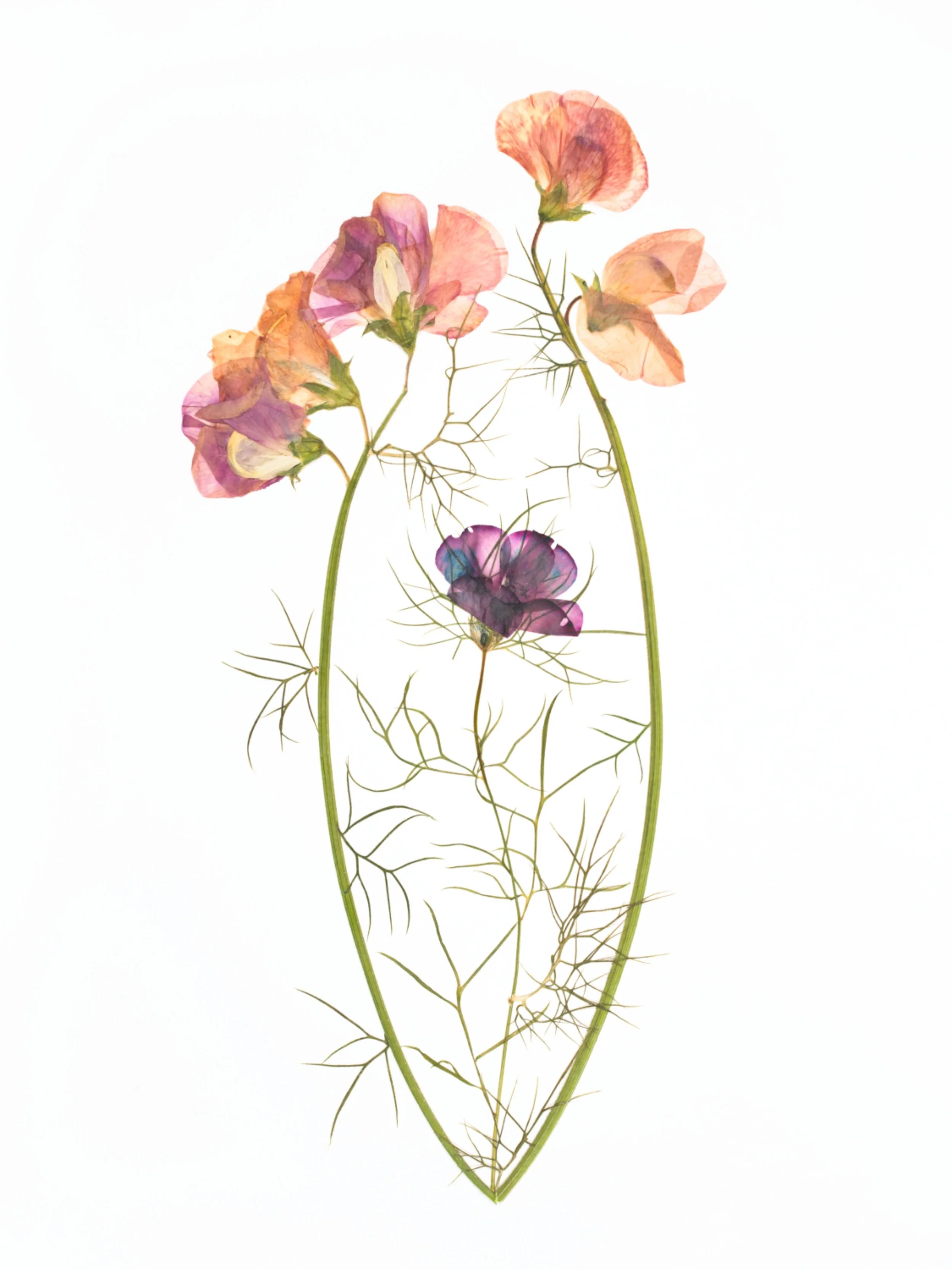 Held - Katie Byrne (1).jpg