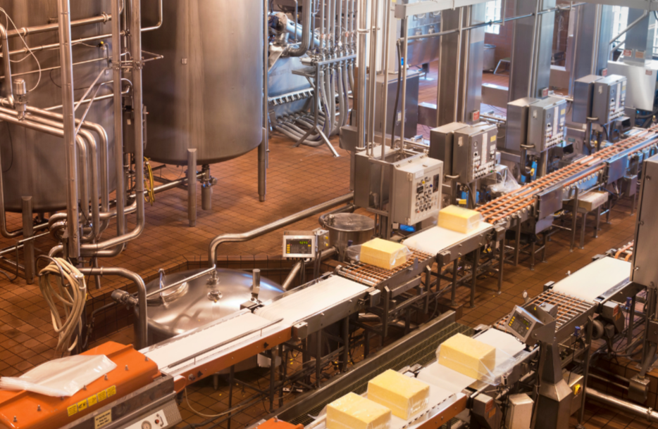 Cheese production line in a factory with conveyor belts and machinery.