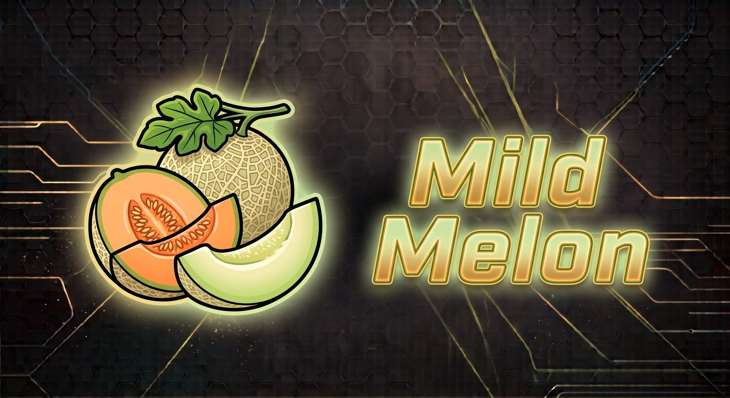 Melon ELIXR
