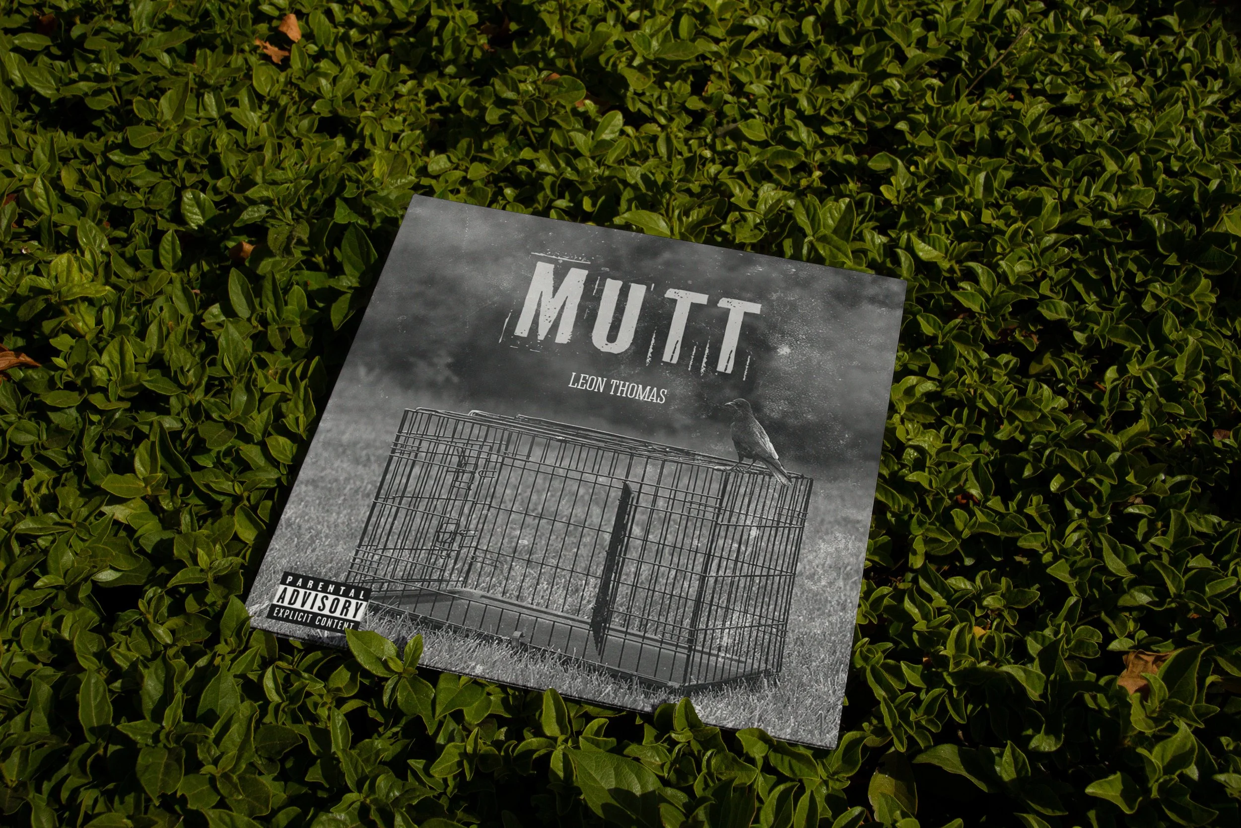 Mutt Album Cover Concept