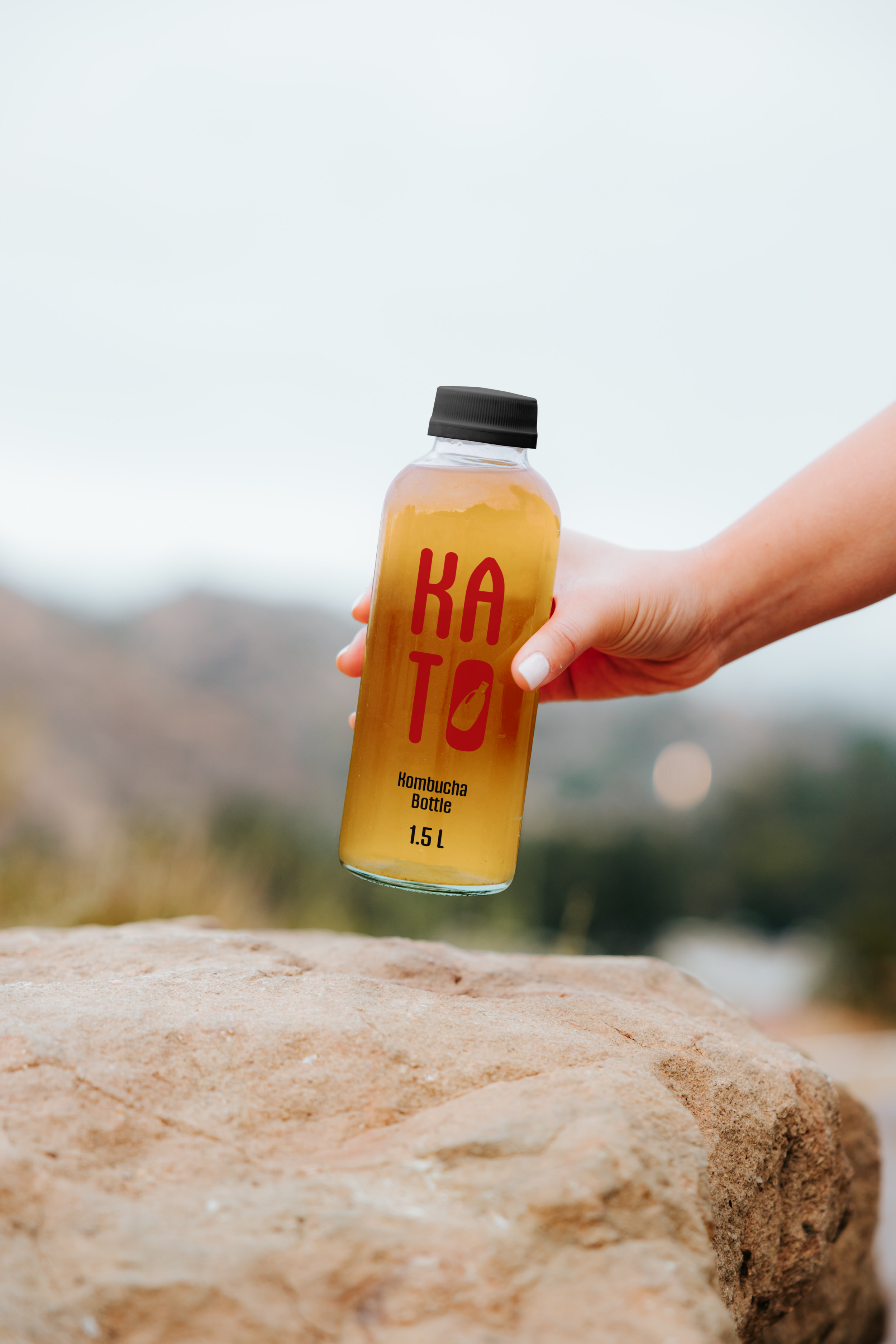 Kato Kombucha Kits