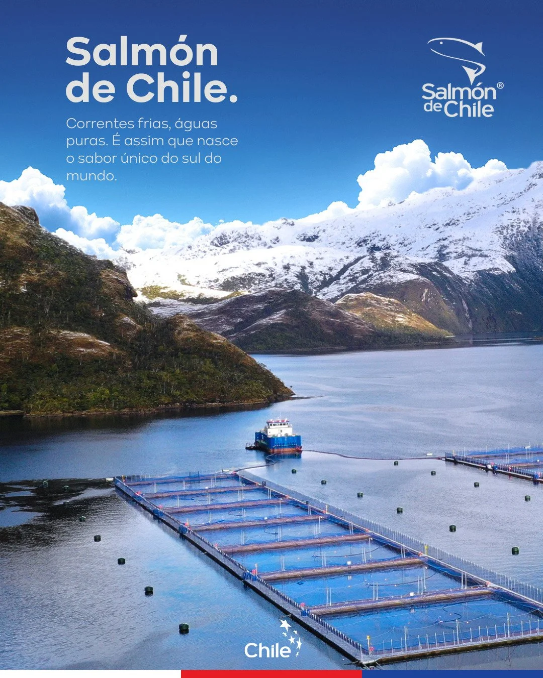 Onde a natureza &eacute; forte, nasce um alimento extraordin&aacute;rio! 

Criado nas correntes frias e &aacute;guas cristalinas do sul do Chile, nosso salm&atilde;o traz a autenticidade de um habitat preservado e o sabor de um processo respons&aacut