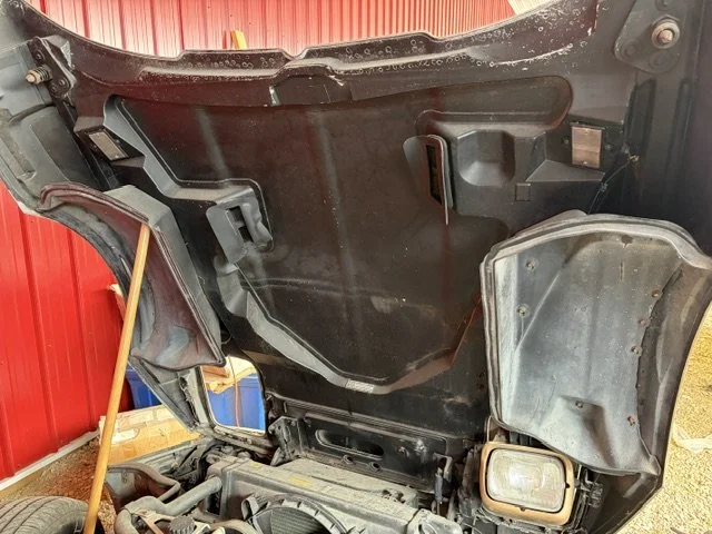 84 hood under.jpeg