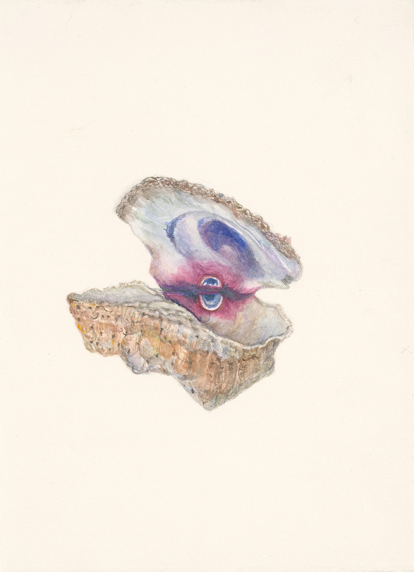 27505 Dana Boyle - Giant Rock Scallop_web.jpg