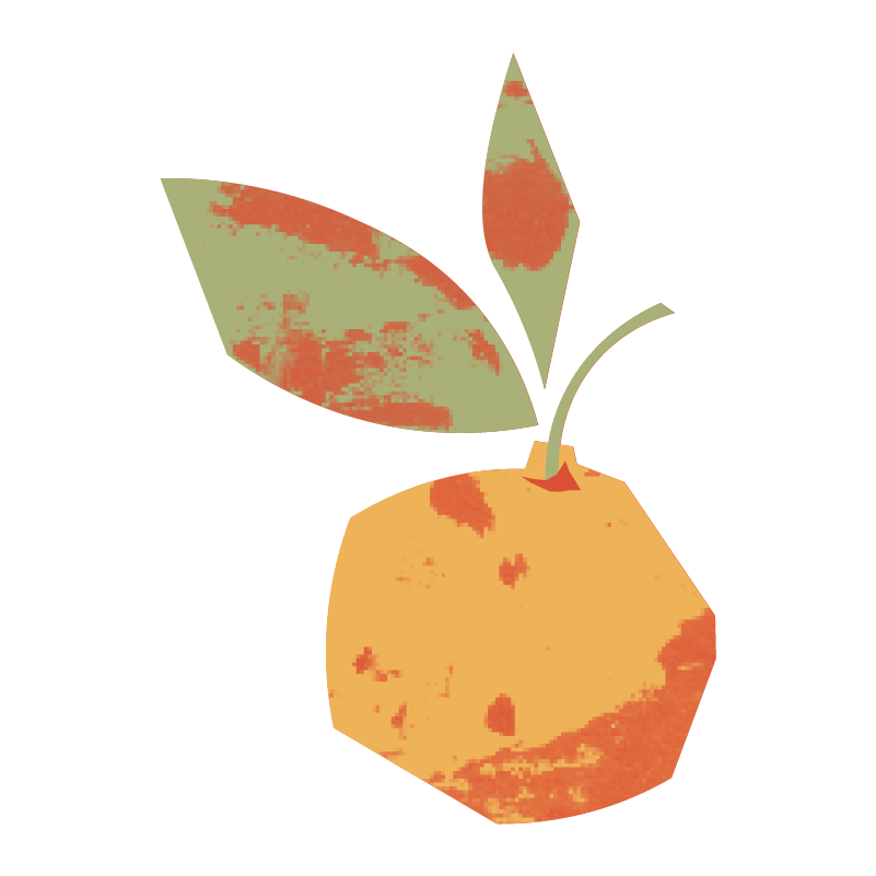 Illustration of an orange