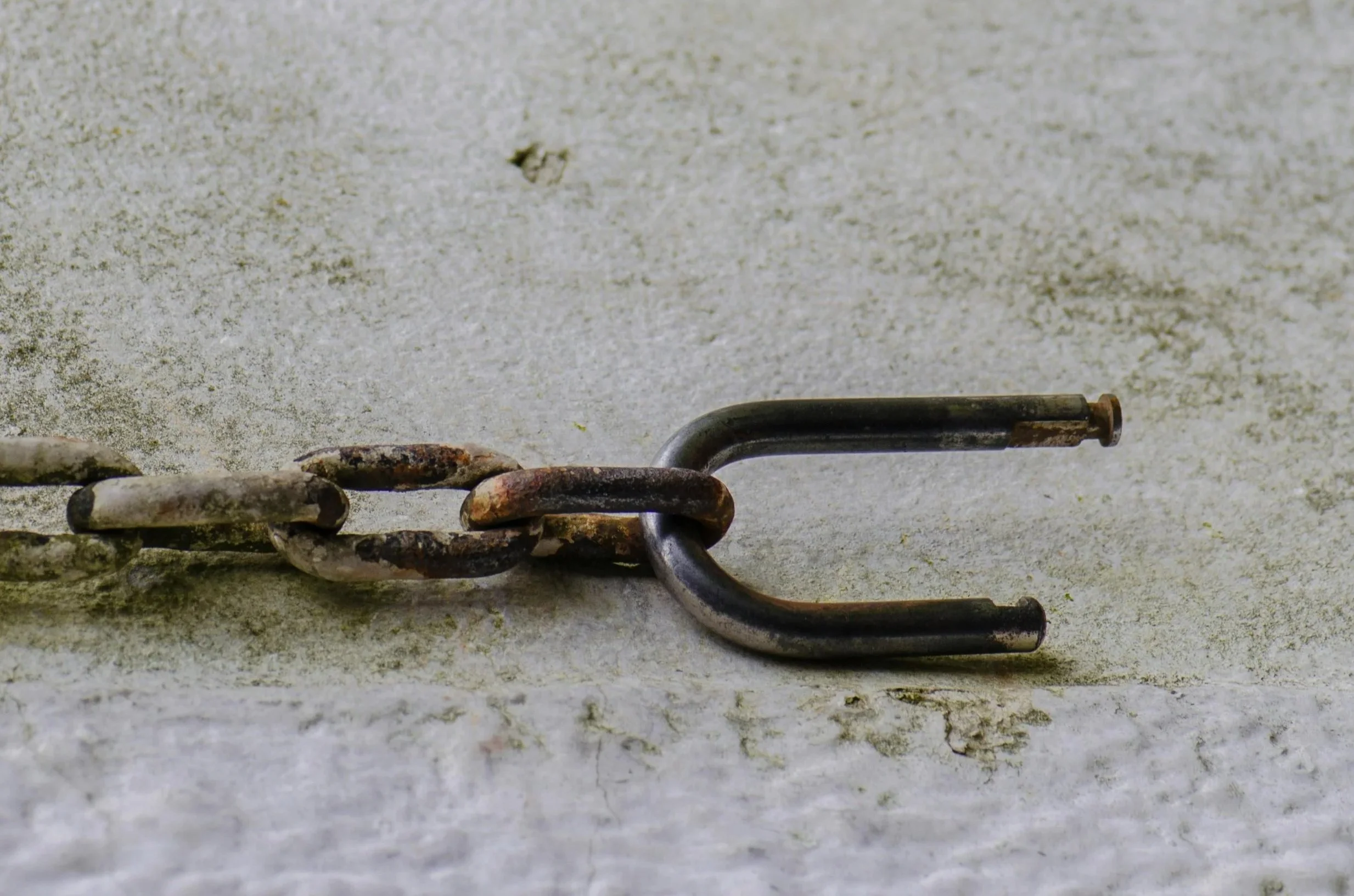 The 10-minute website audit every small business owner should do monthly