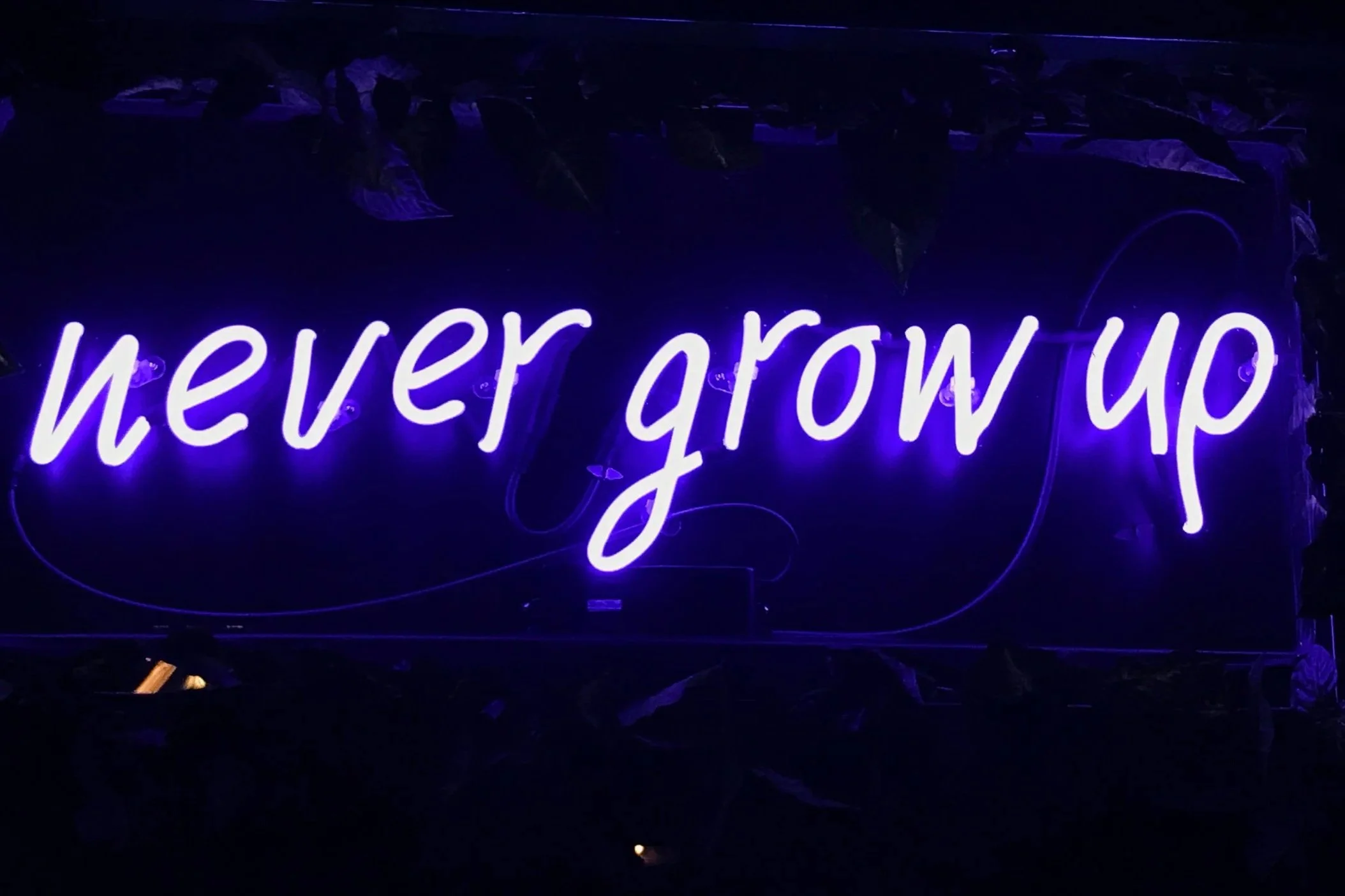 A neon sign saying 'never grow up' at a bar in Ios, Greece.