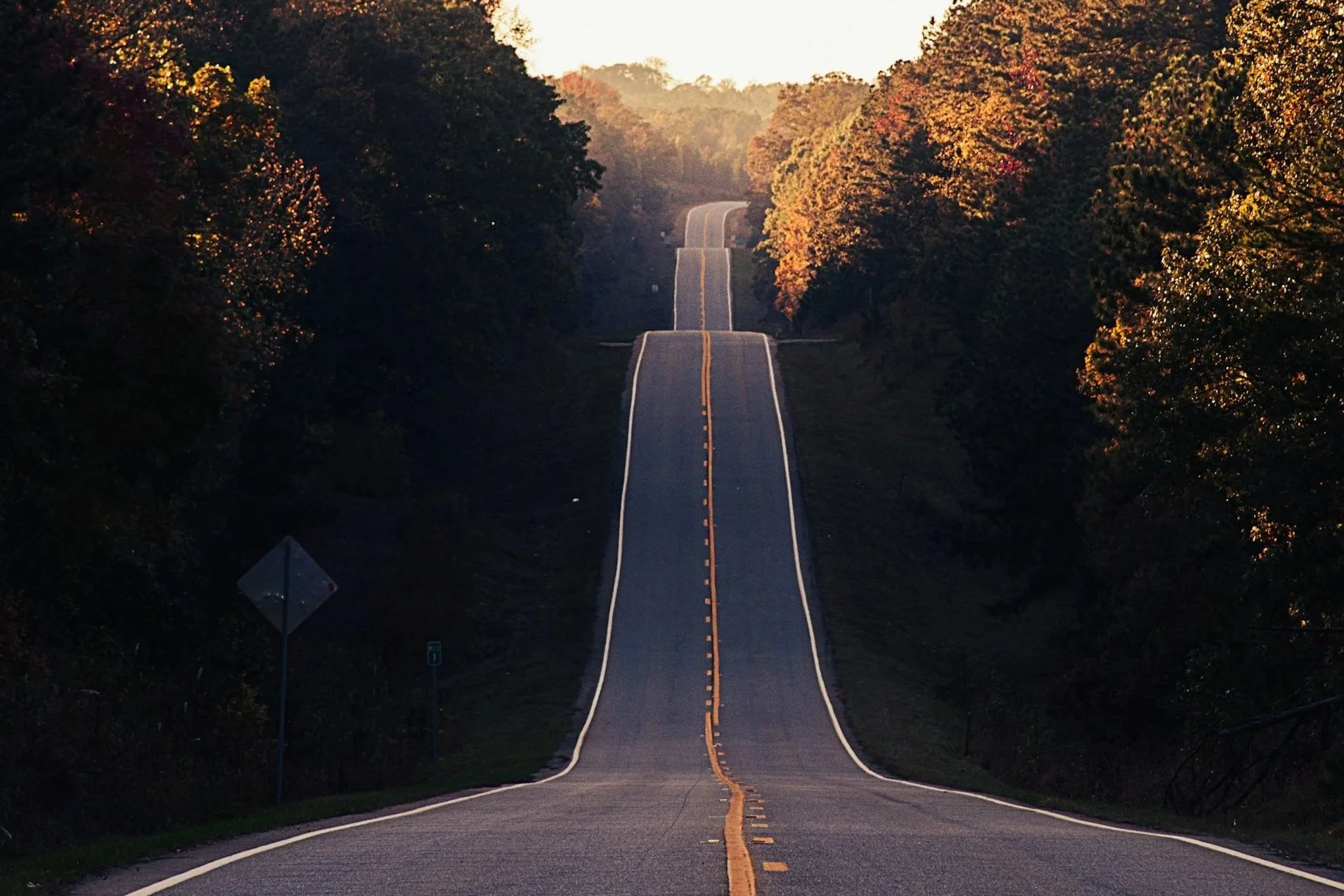 a straight, clear road cuts through a forest.