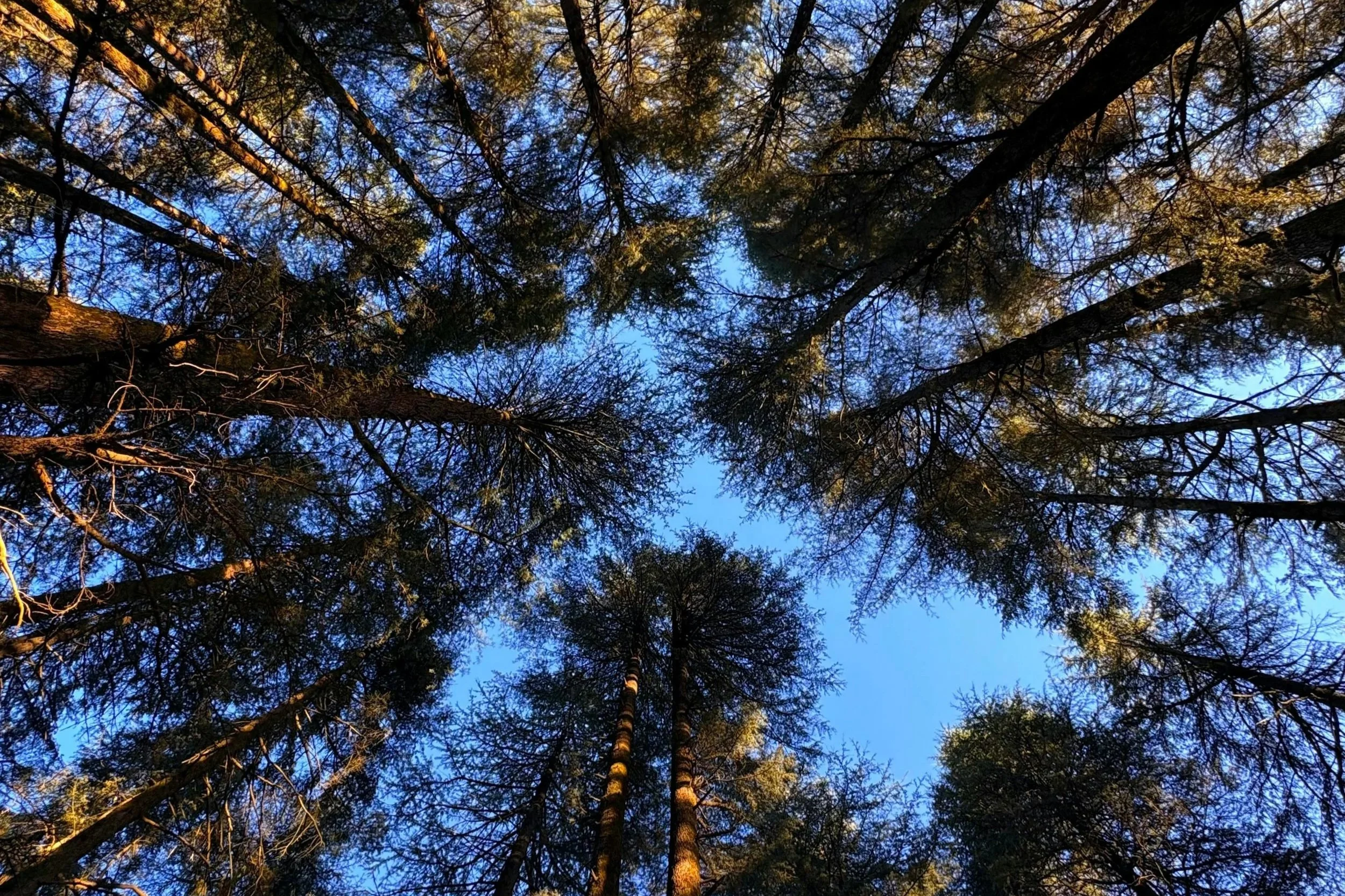 Why website architecture matters for SEO (and how to get it right)