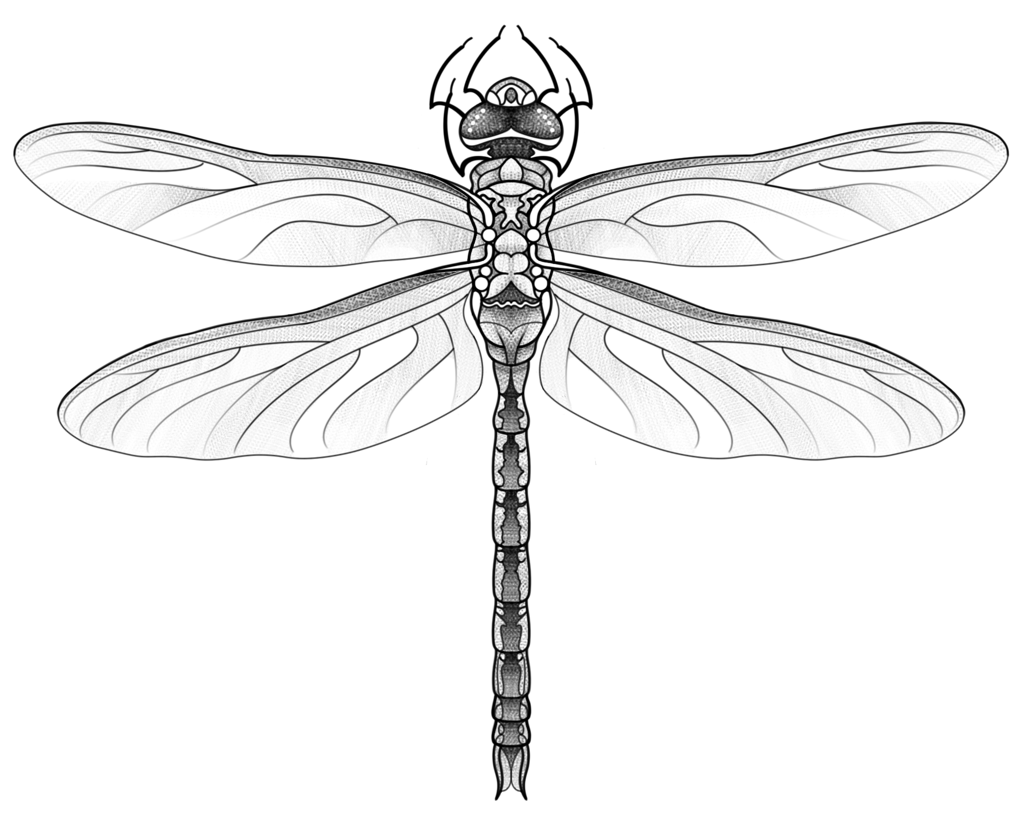 Untitled_Artwork.png