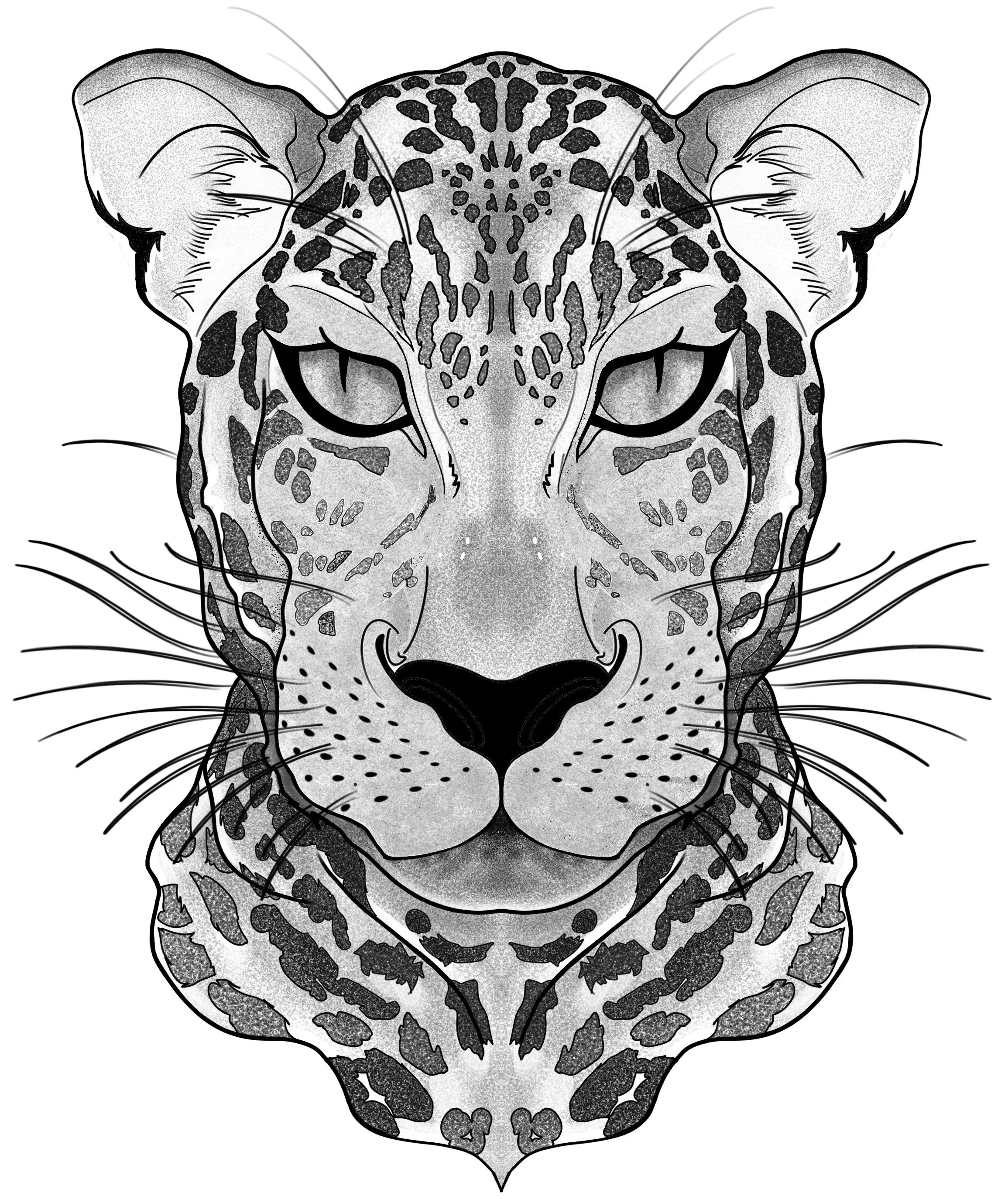 Leopard_.jpg