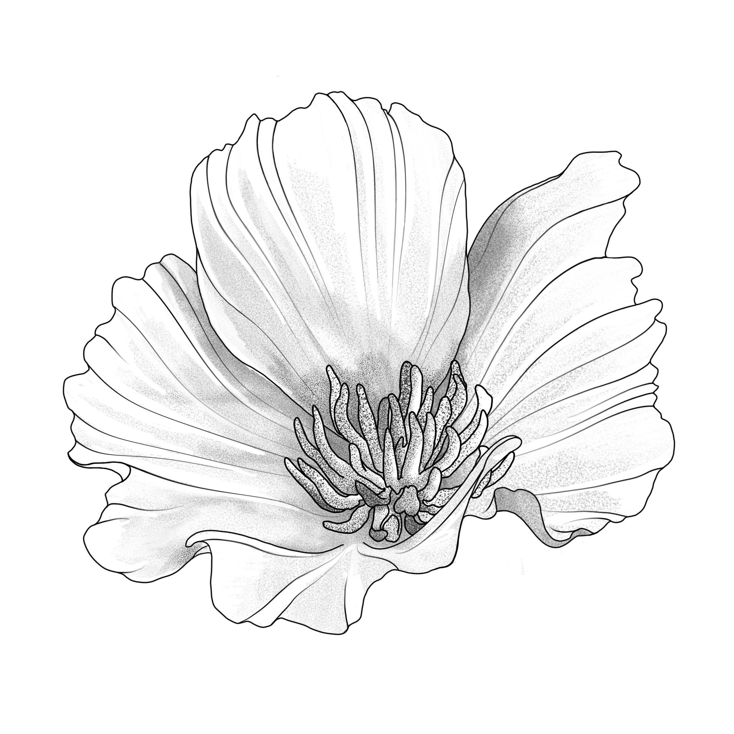 IMG_1094.png