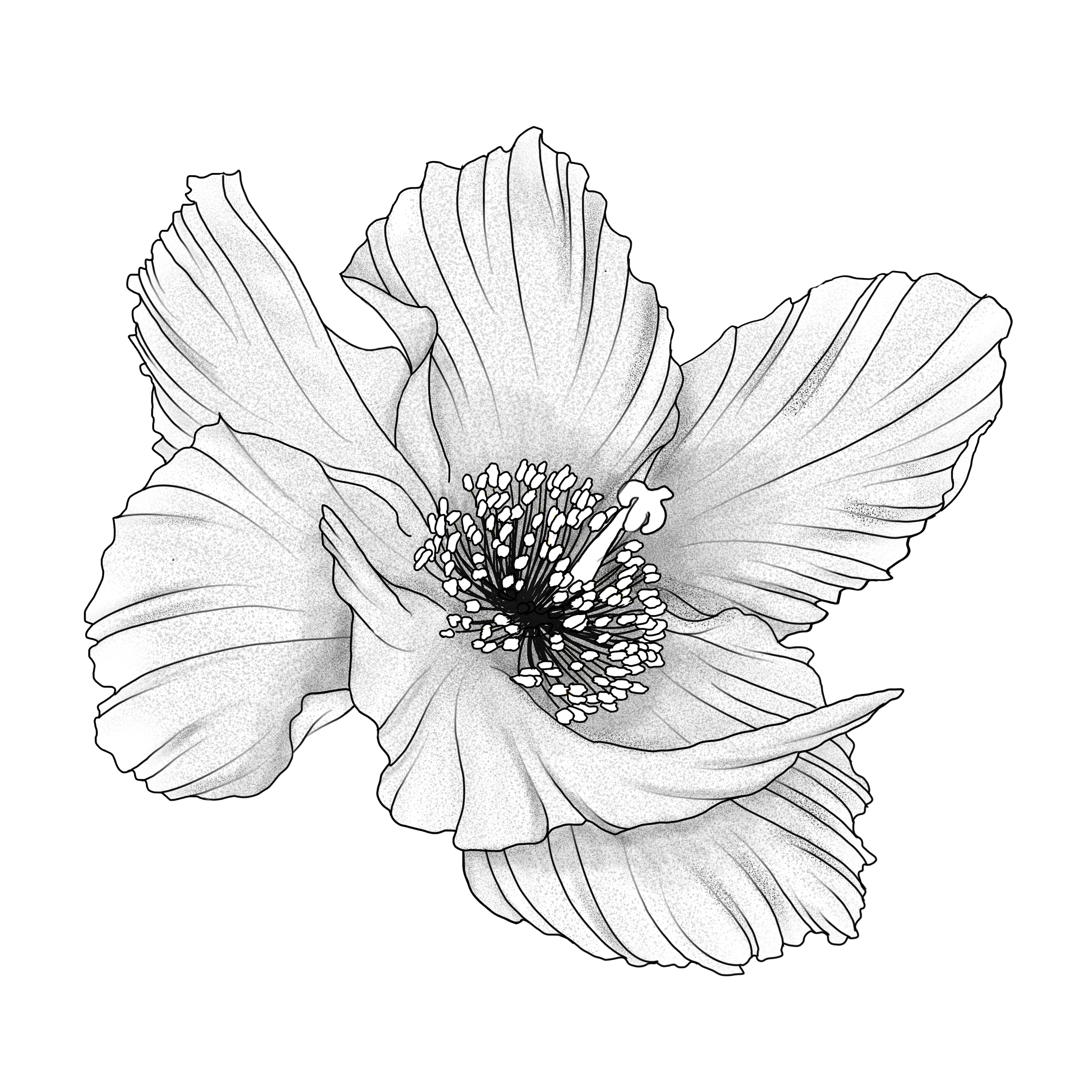 IMG_1097.png