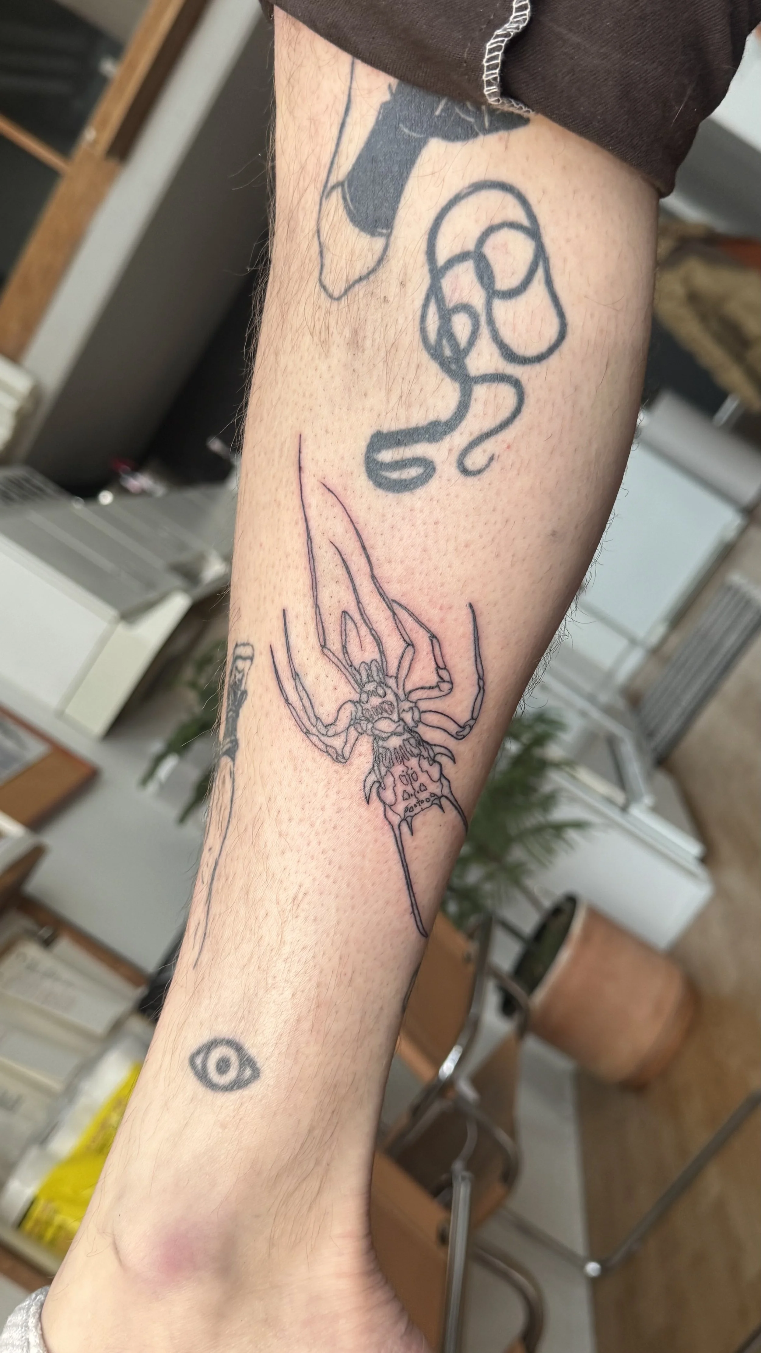 IMG_3676.jpeg