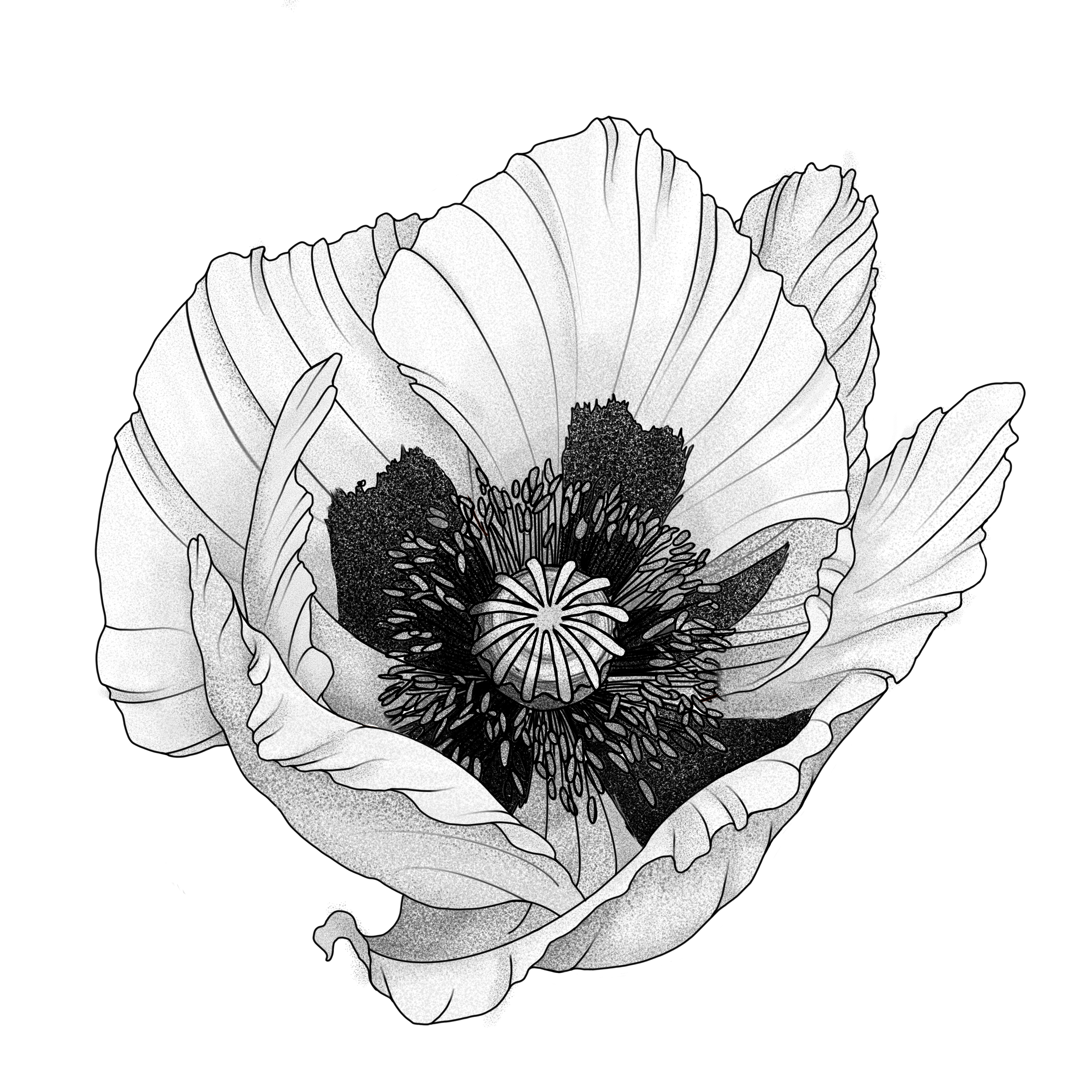 IMG_1096.png