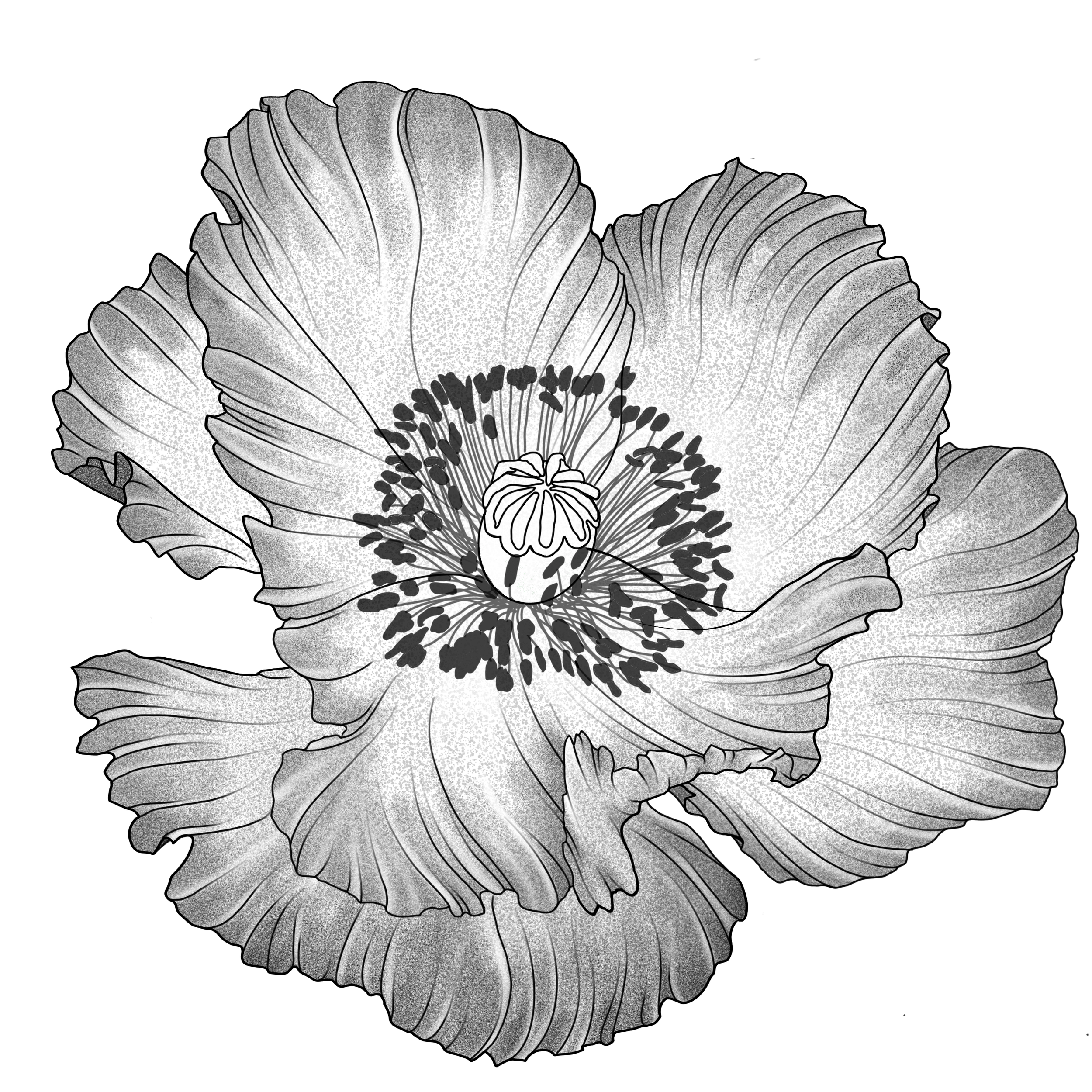 IMG_1098.png