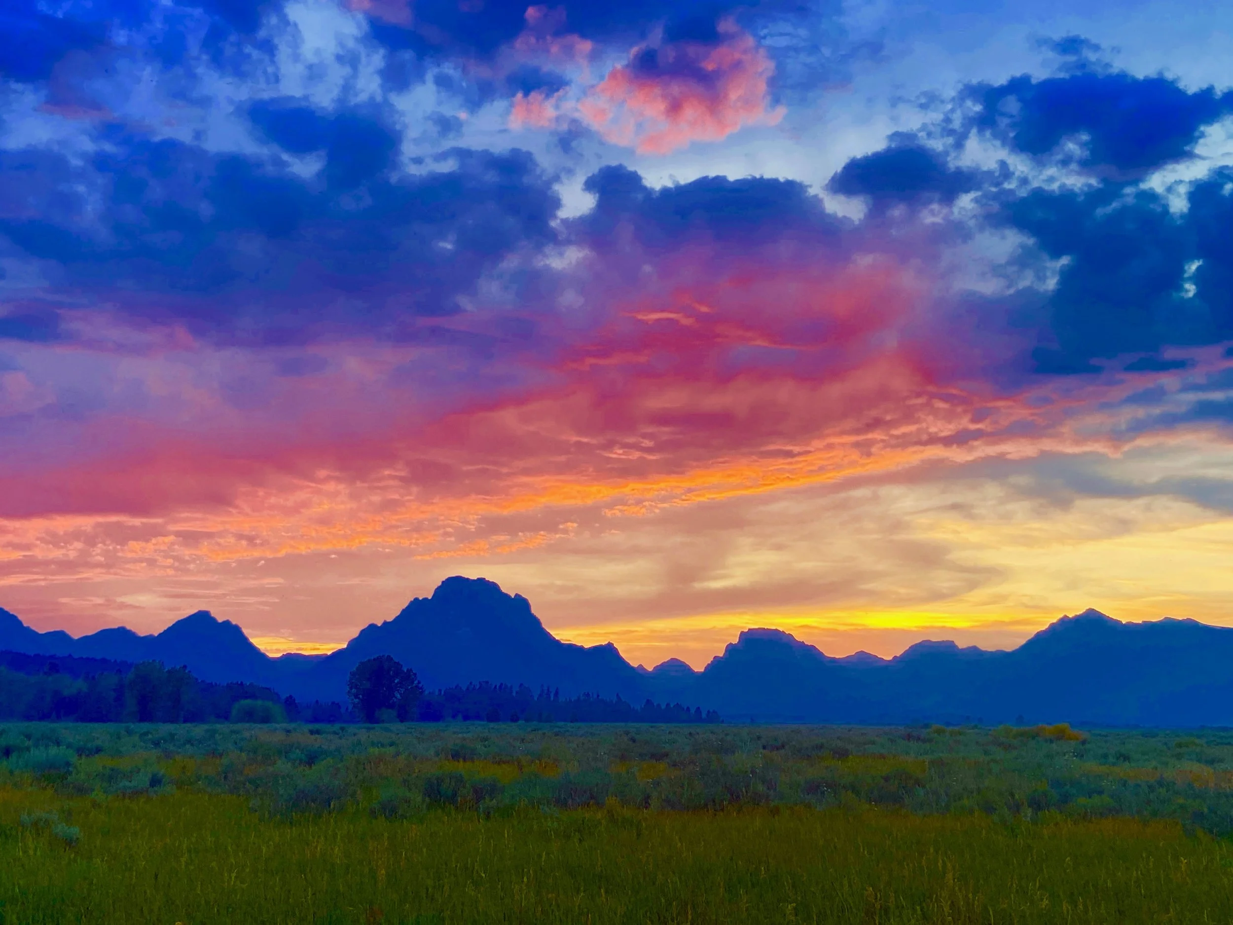 A Word Breathed By God