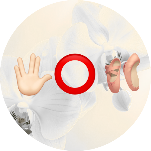 Flow Systems: SATURDAY Workshop Full Package