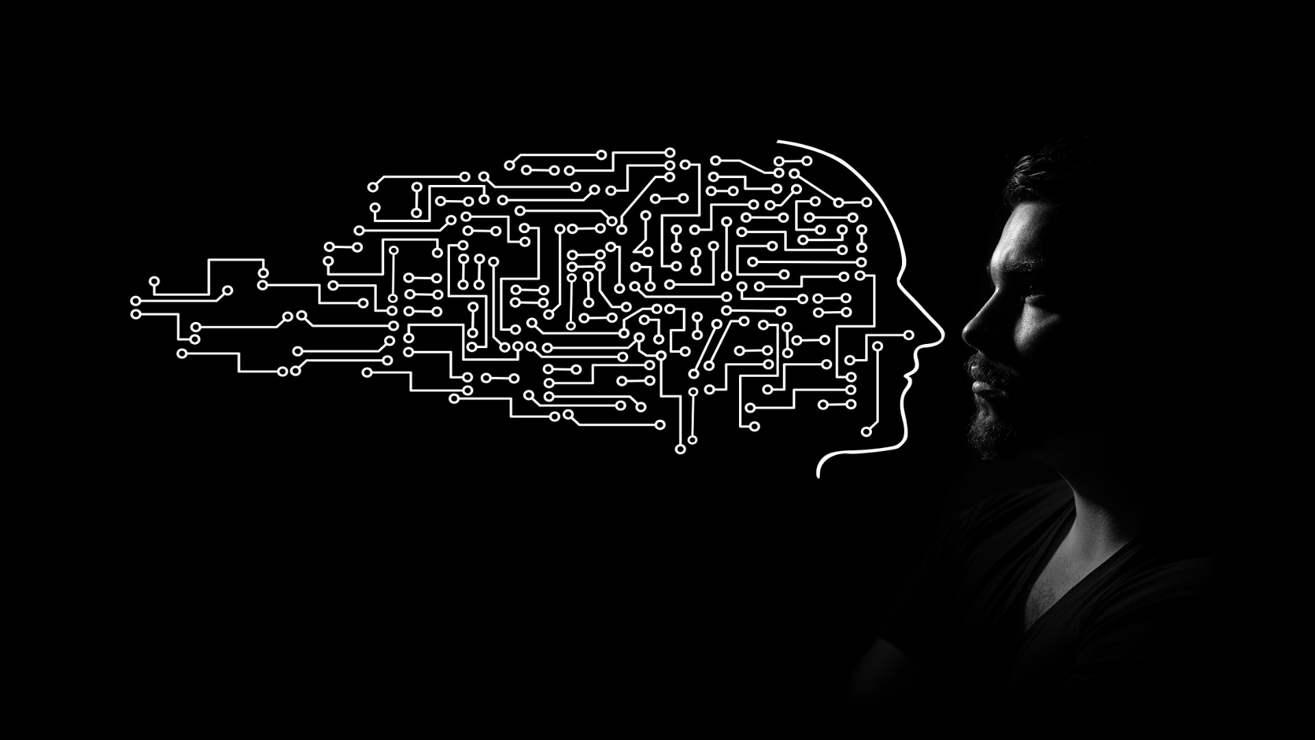 When Recalibration Works—Cross-Industry Patterns and the Netflix Example