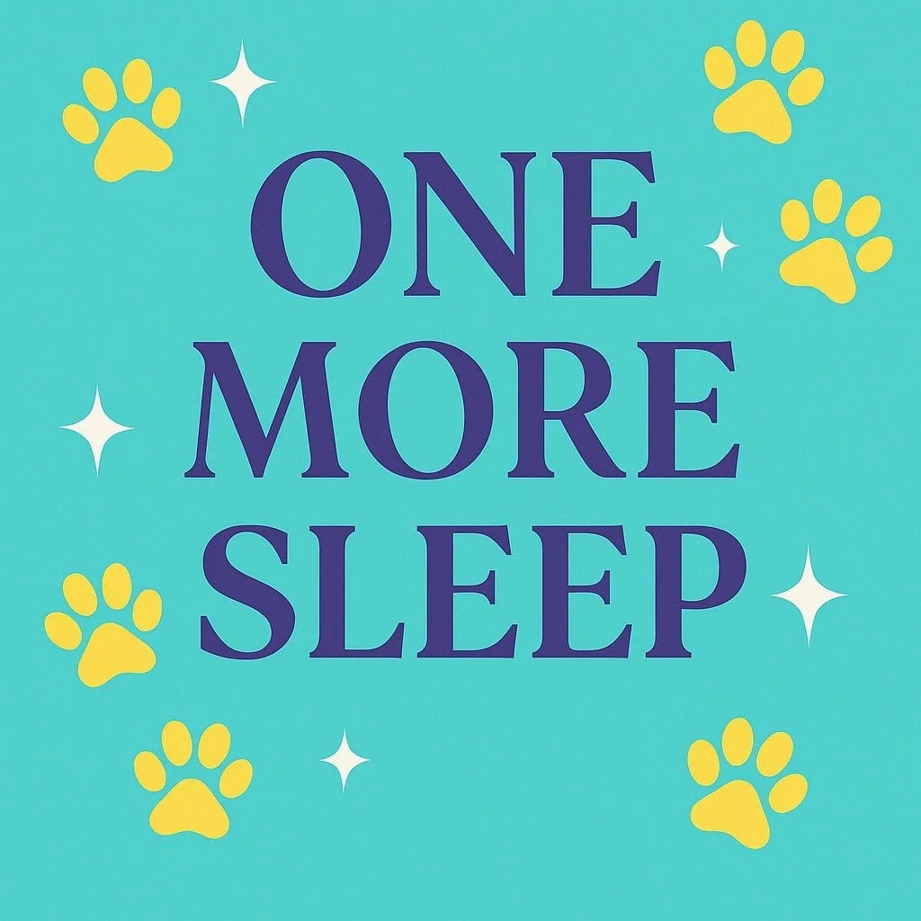 🌞🐾 ONE MORE SLEEP 🌞🐾

These last 2.5 months tested us in ways we never could have imagined. The flood shut our doors, and just four days later, I had a health scare that shook our world. Addison and I have kept pushing forward &mdash; learning, g