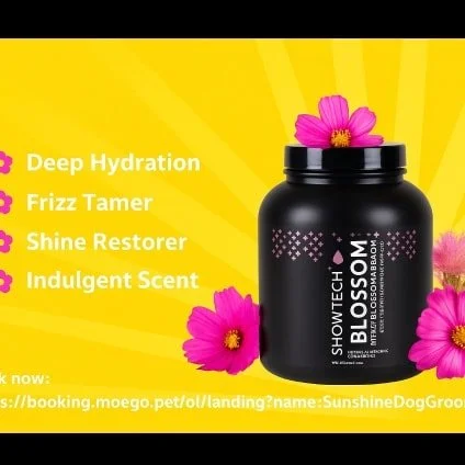 Blossom &amp; Bloom is where coat care becomes an indulgence. Rich, creamy texture, shea butter &amp; wheat protein, and a scent like warm vanilla musk &mdash; this conditioner leaves every strand radiant. ✨

From root to tip, dry ends get love, friz