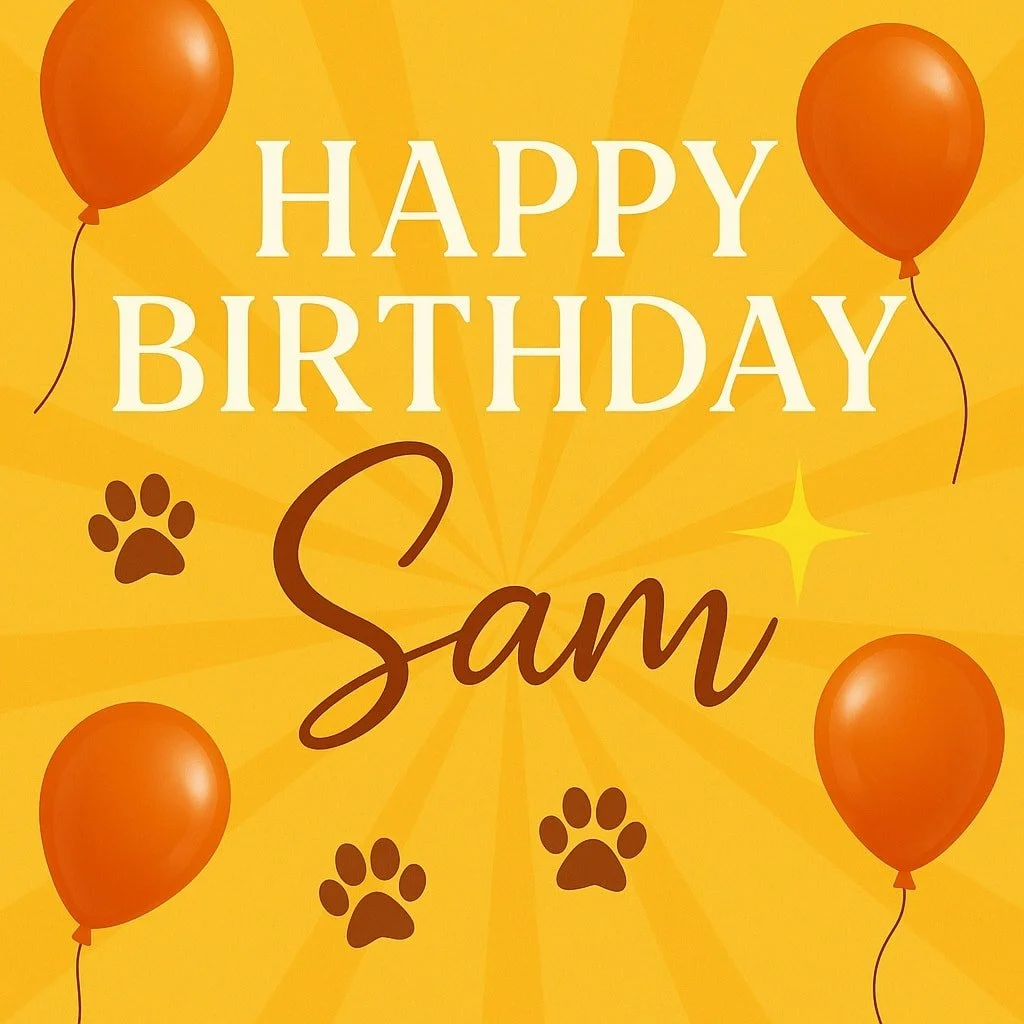 Today we&rsquo;re celebrating the heart behind Sunshine Dog Grooming &mdash; Sam 💛🐾

Sunshine was built on more than grooming. It was built on family, passion, and care. Every warm towel wrap, every gentle brush stroke, every show-stopping finish c