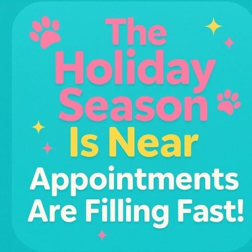 We know it feels early&hellip; but our December schedule is already starting to fill up! 🎄🐶 Don&rsquo;t miss out on getting your pup in for their holiday glow-up. ✂️✨

Whether it&rsquo;s a fresh trim for family photos, a spa day before guests arriv