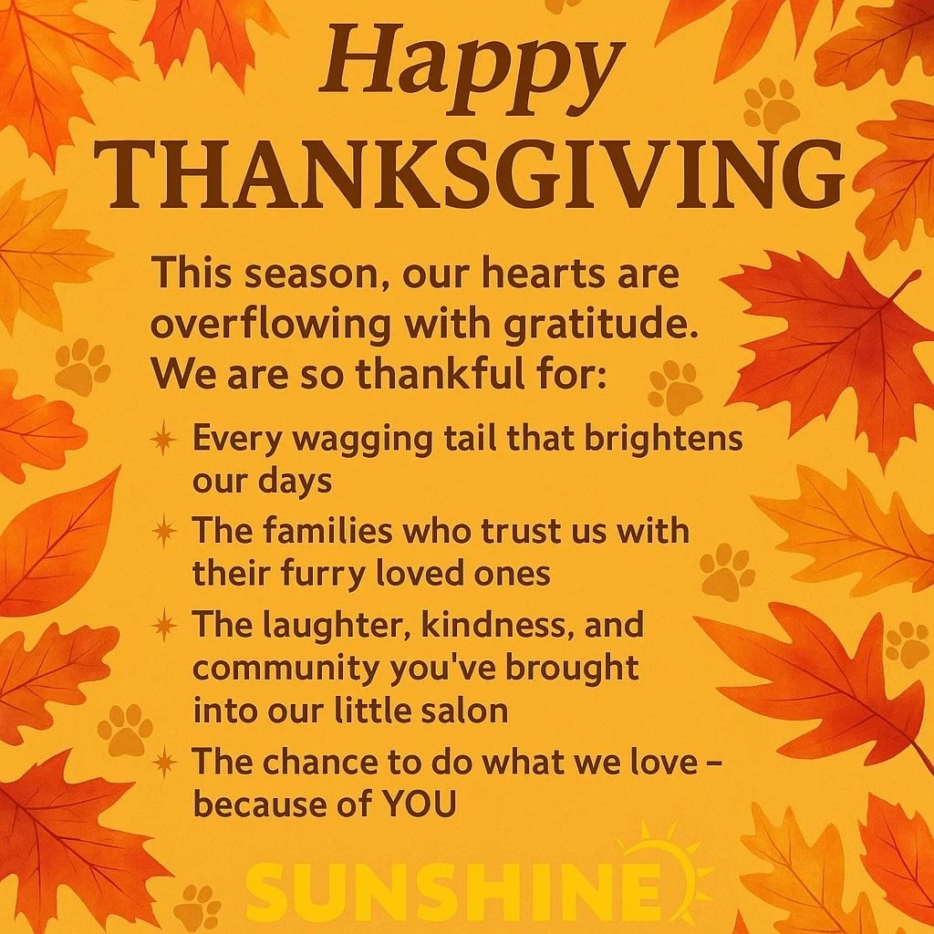 This season, our hearts are overflowing with gratitude. 💛 At Sunshine, we know it&rsquo;s not just about grooms &mdash; it&rsquo;s about the love, the trust, and the family we&rsquo;ve built with all of you.

We are so thankful for:
✨ Every wagging 