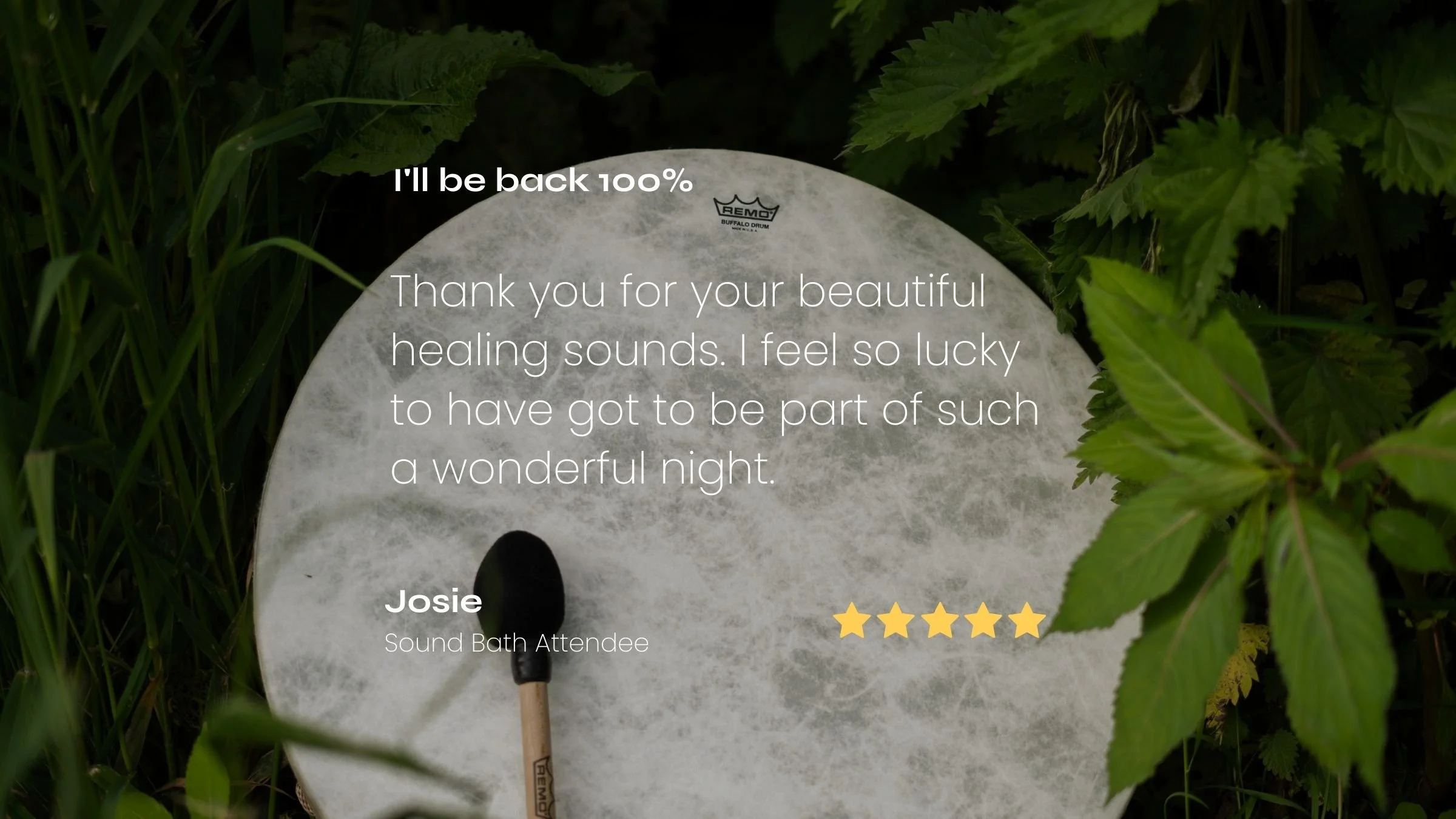 A Remo buffalo drum with remo mallet resting on it, surrounded by green leaves, with a gratitude message from a sound bath attendee, expressing appreciation for meditation session and accompanied by a five-star rating.
