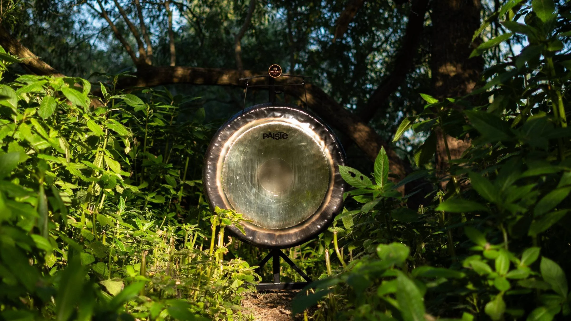 Close-up of large gong used in sound bath meditation and holistic healing sessions in Manchester 