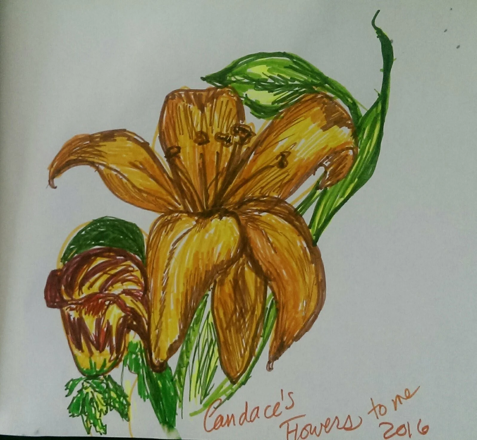 Lily Drawing for Candace.jpg