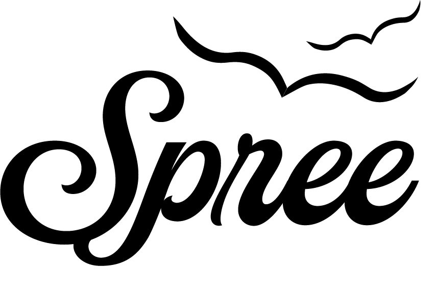 This logo is the result of the final round of user testing, it features the Fabiola font in a composition with the birds above.