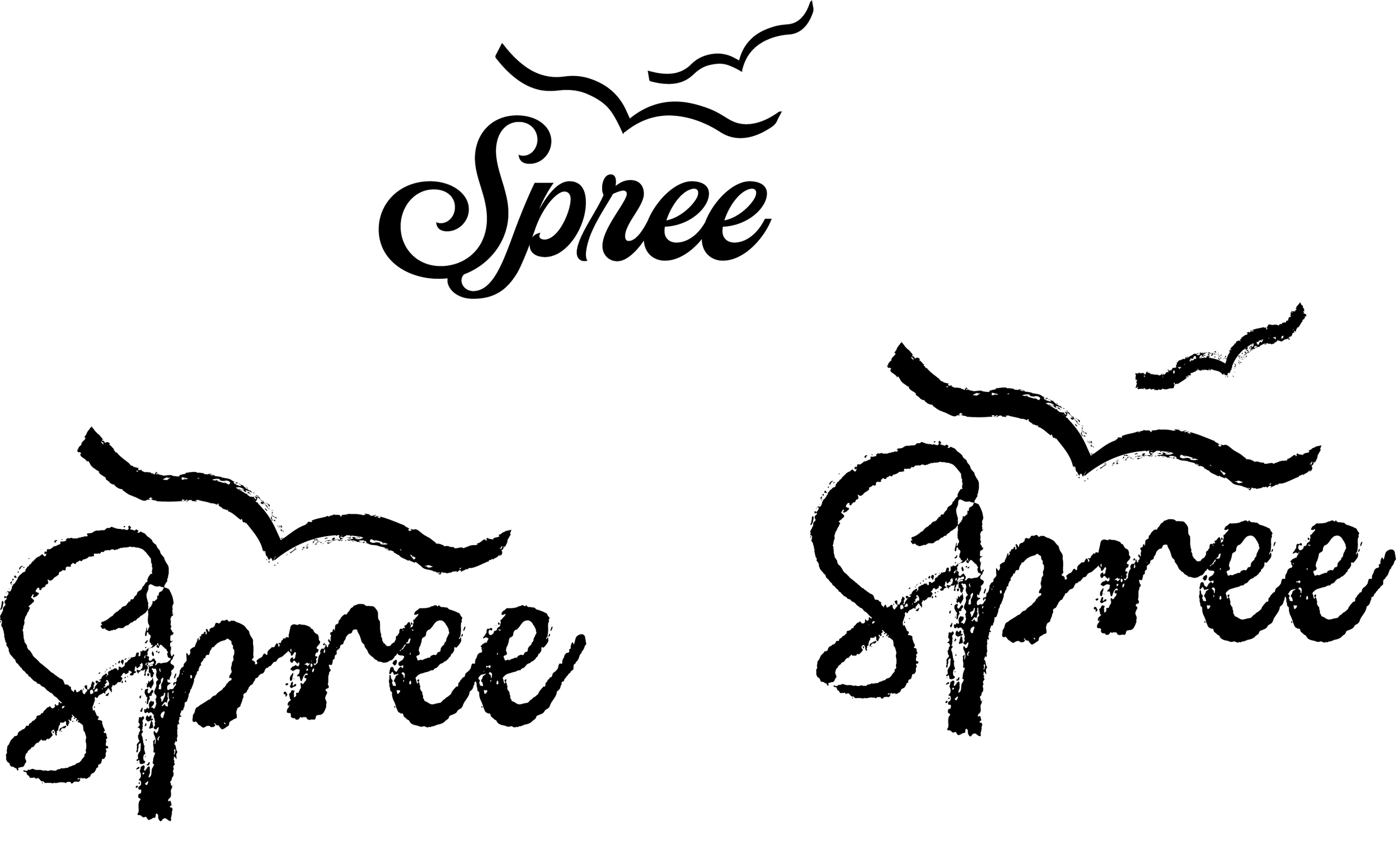 I was able to receive user testing on my last logo variations, and I narrowed it down to what I have above. I then tried the logo in different fonts and further user tested them.