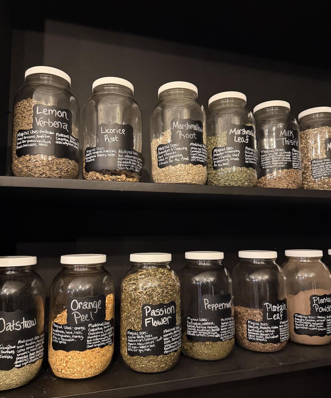 Screenshot 2025-06-19 at 1.50.44 PM.png