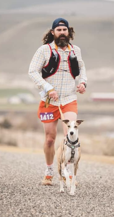 dog whippet banjo partner