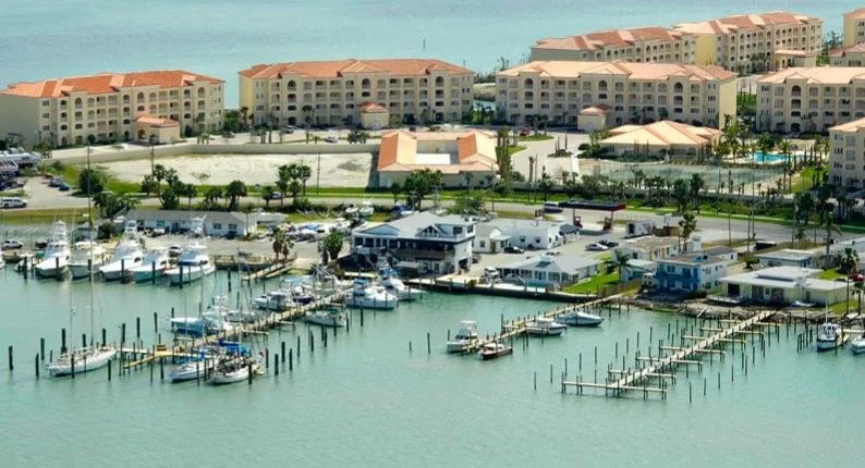 Marina proformabasic.jpeg