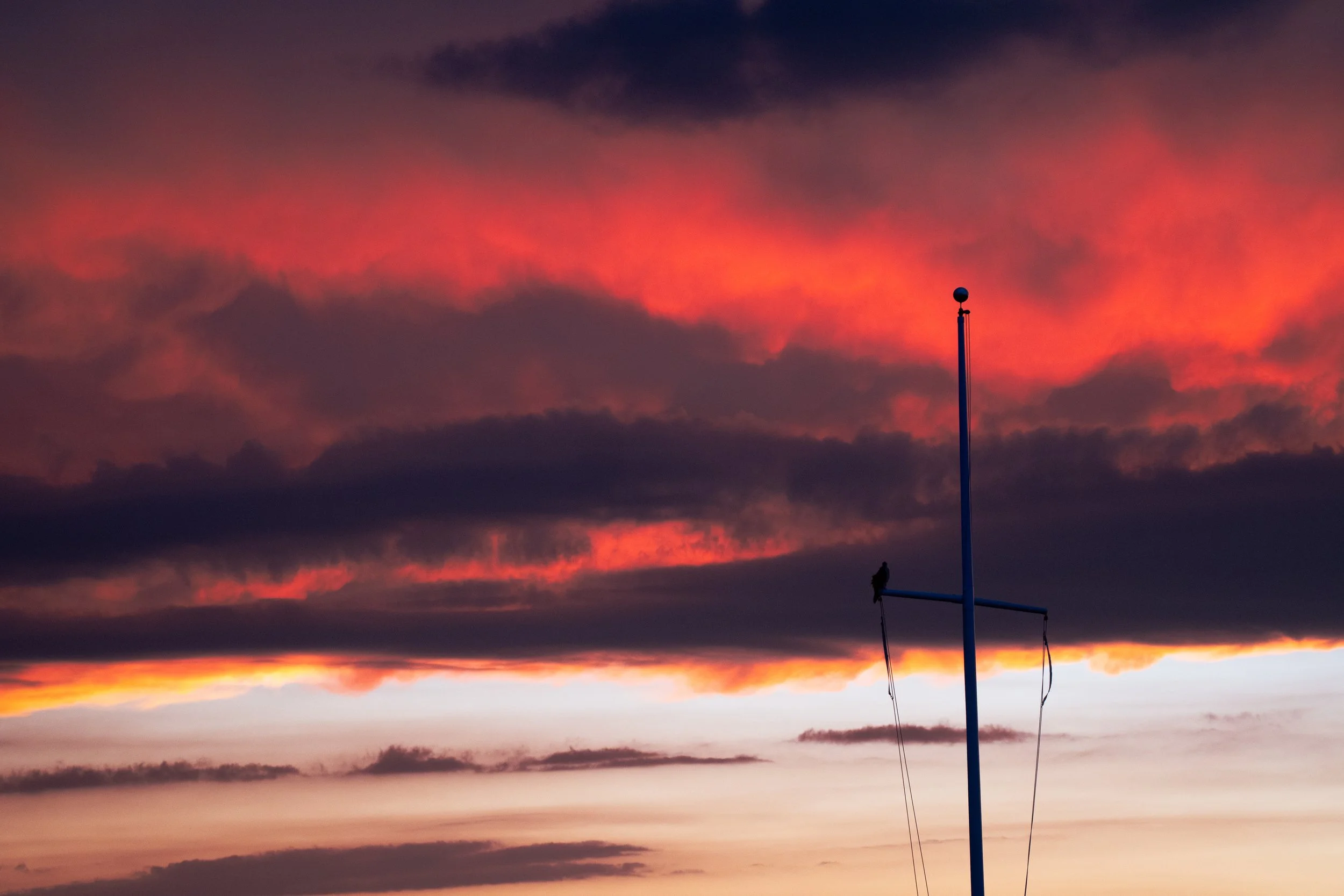 flagpole osprey sunset (png).jpg