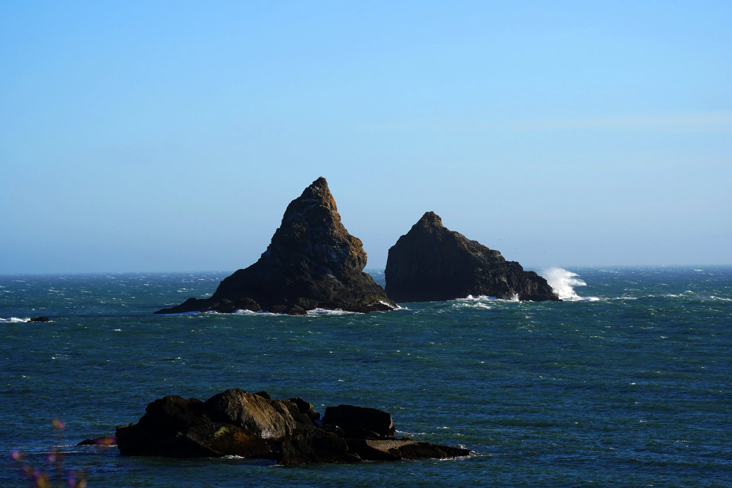 Oregon Coast Rocks.jpg