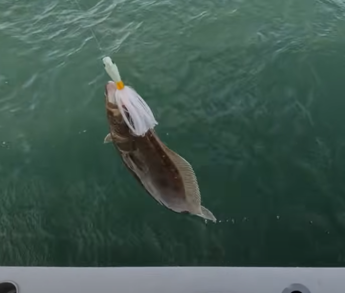 A fish caught on a fishing line with a lure in its mouth, hanging above the water.