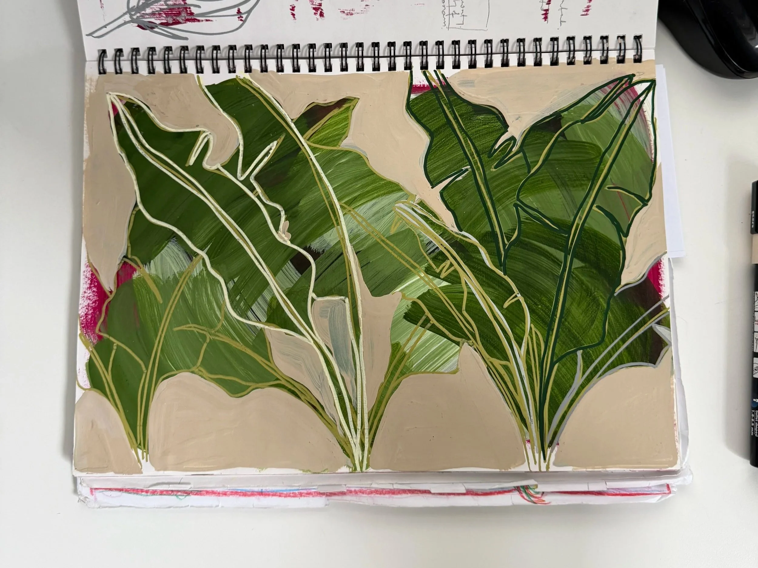 Gouache sketch of a giant bird of paradise palm