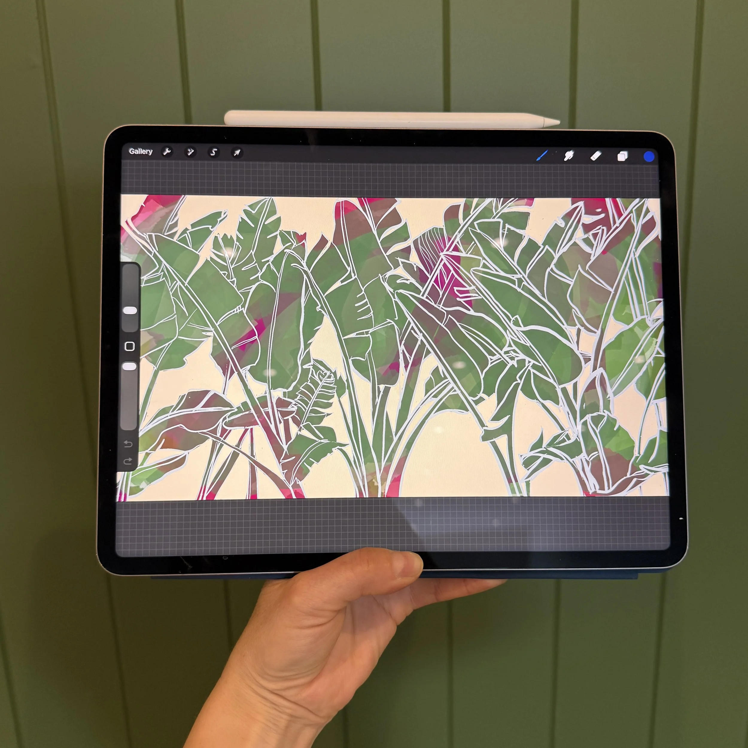 Drawing of giant bird of paradise palms on an iPad using procreate app
