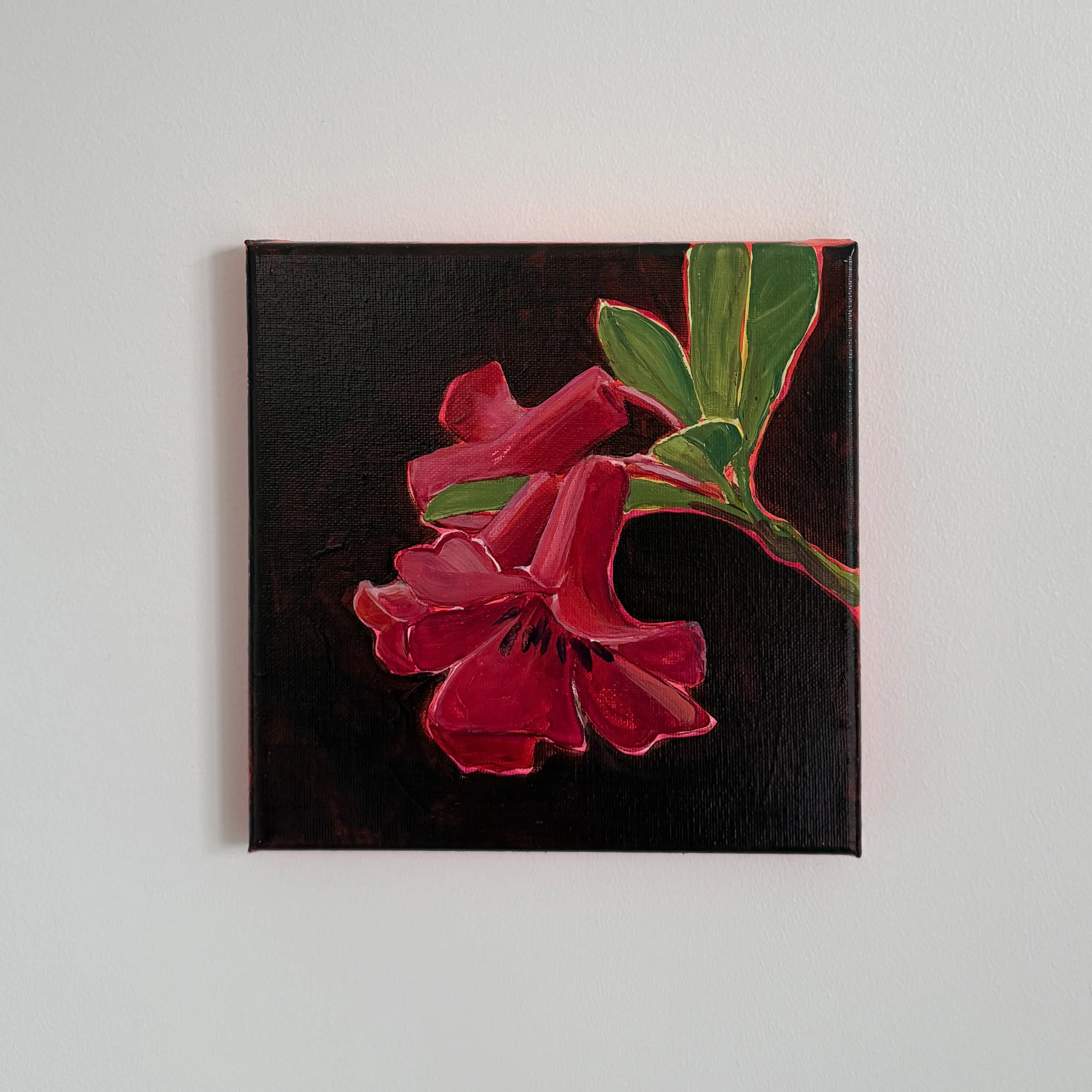 R is for Rhododendron lochiae