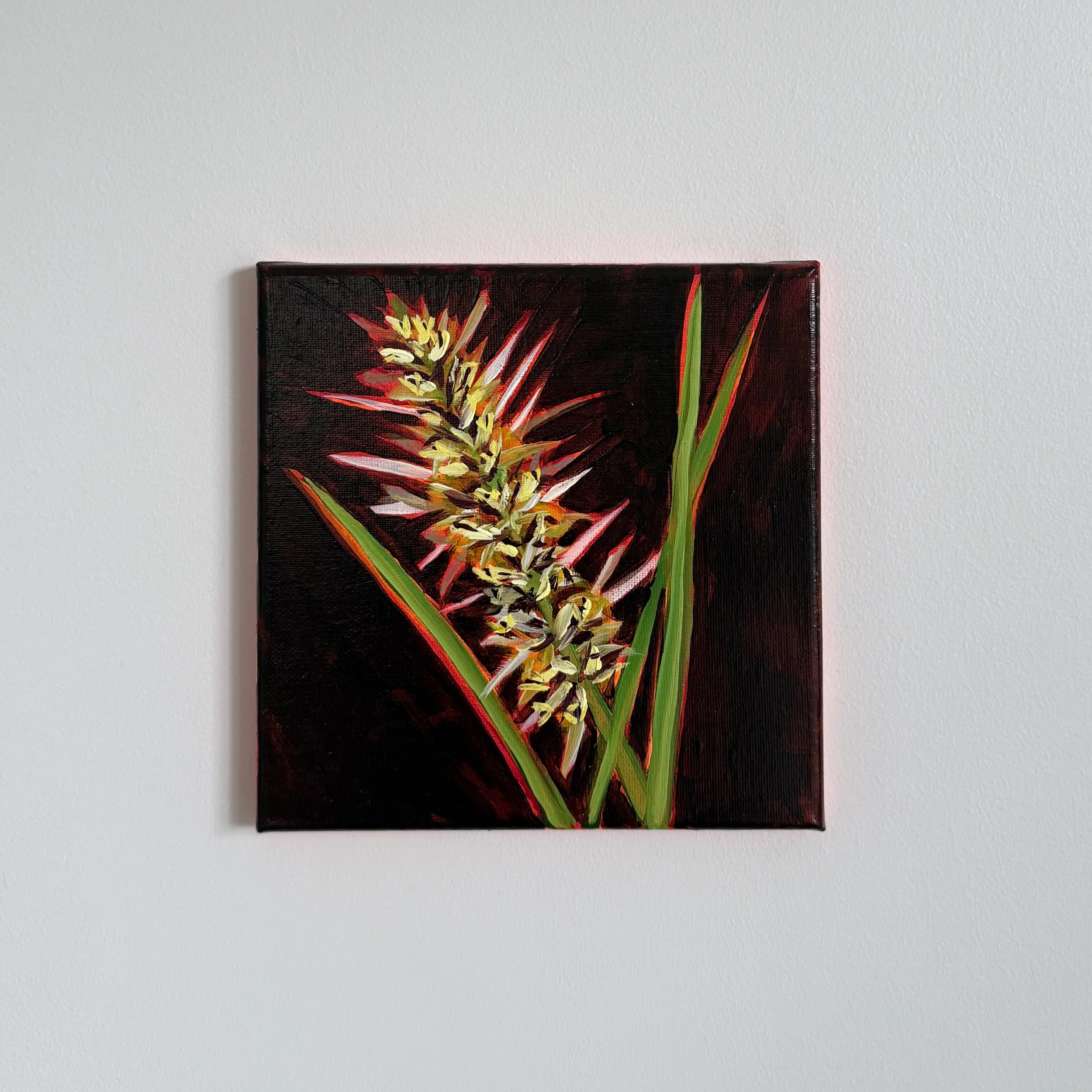 L is for Lomandra