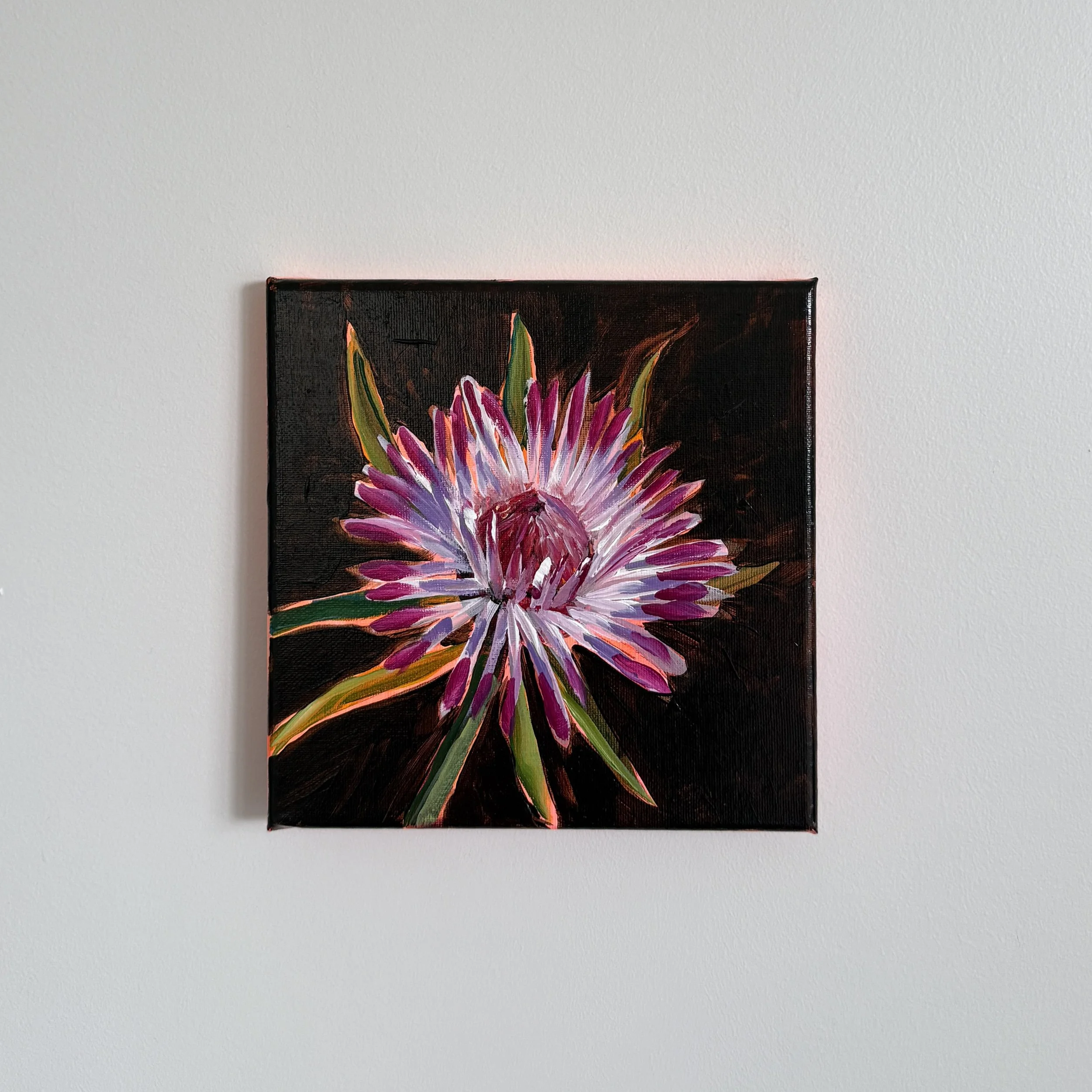 I is for Isopogon
