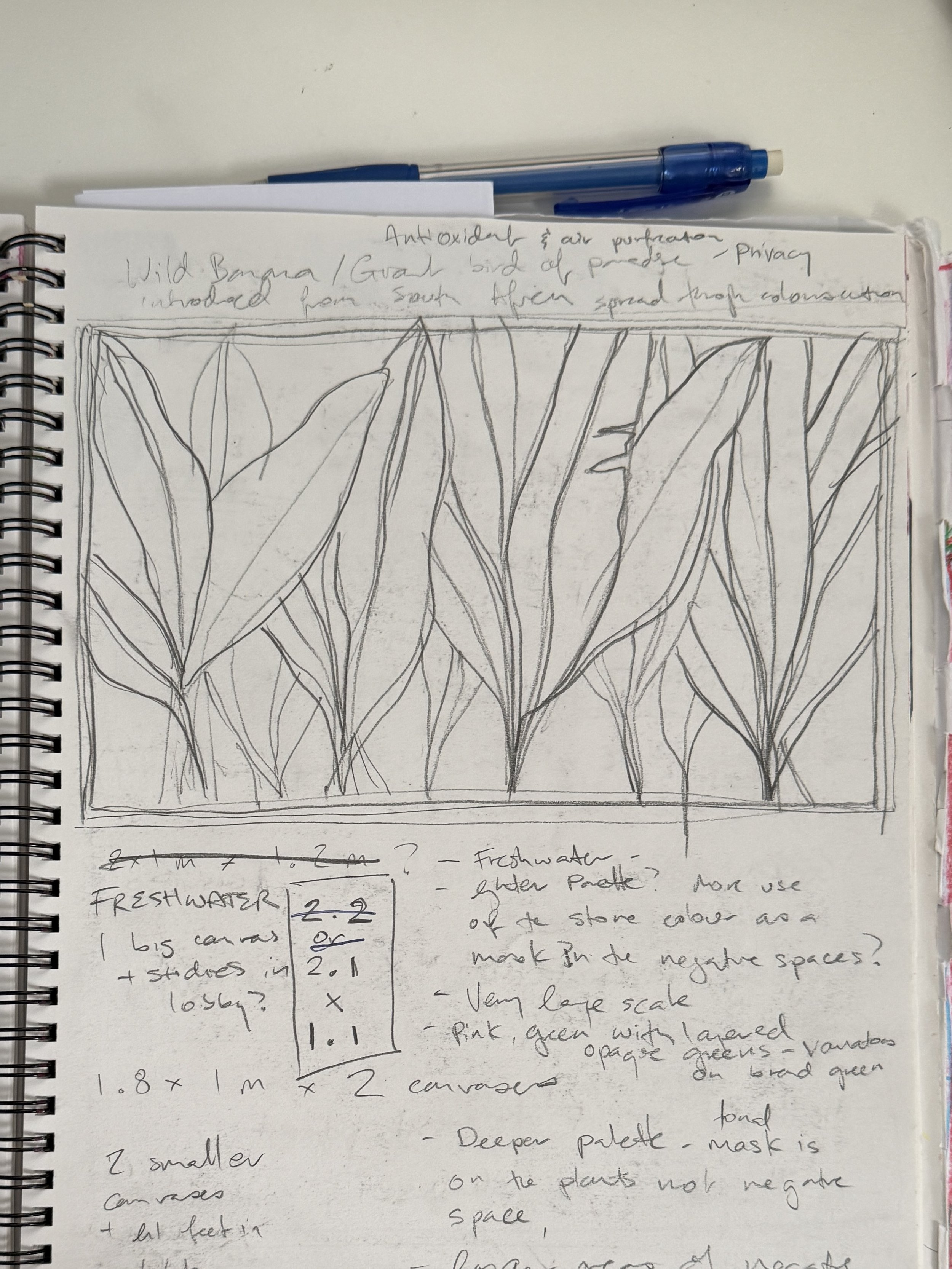 Rough sketch of bird of paradise palms with process notes
