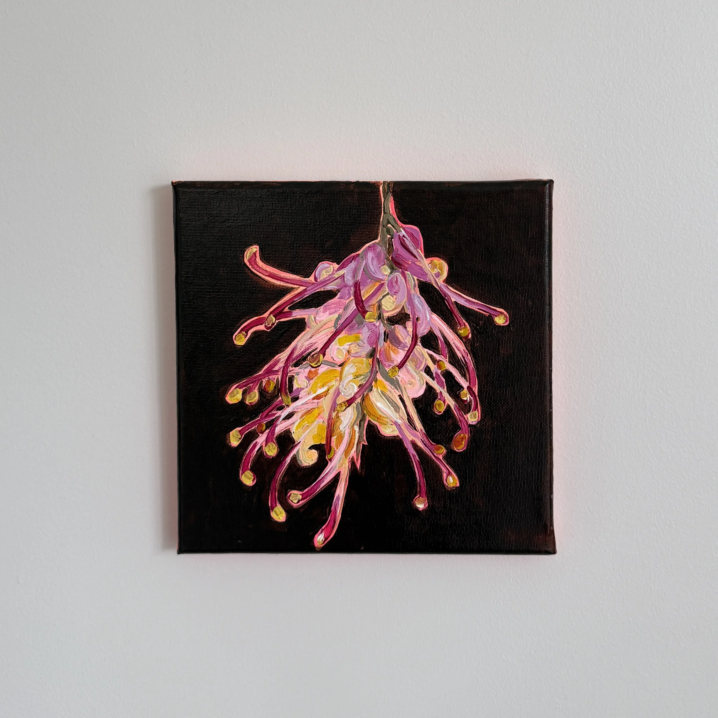 G is for Grevillea