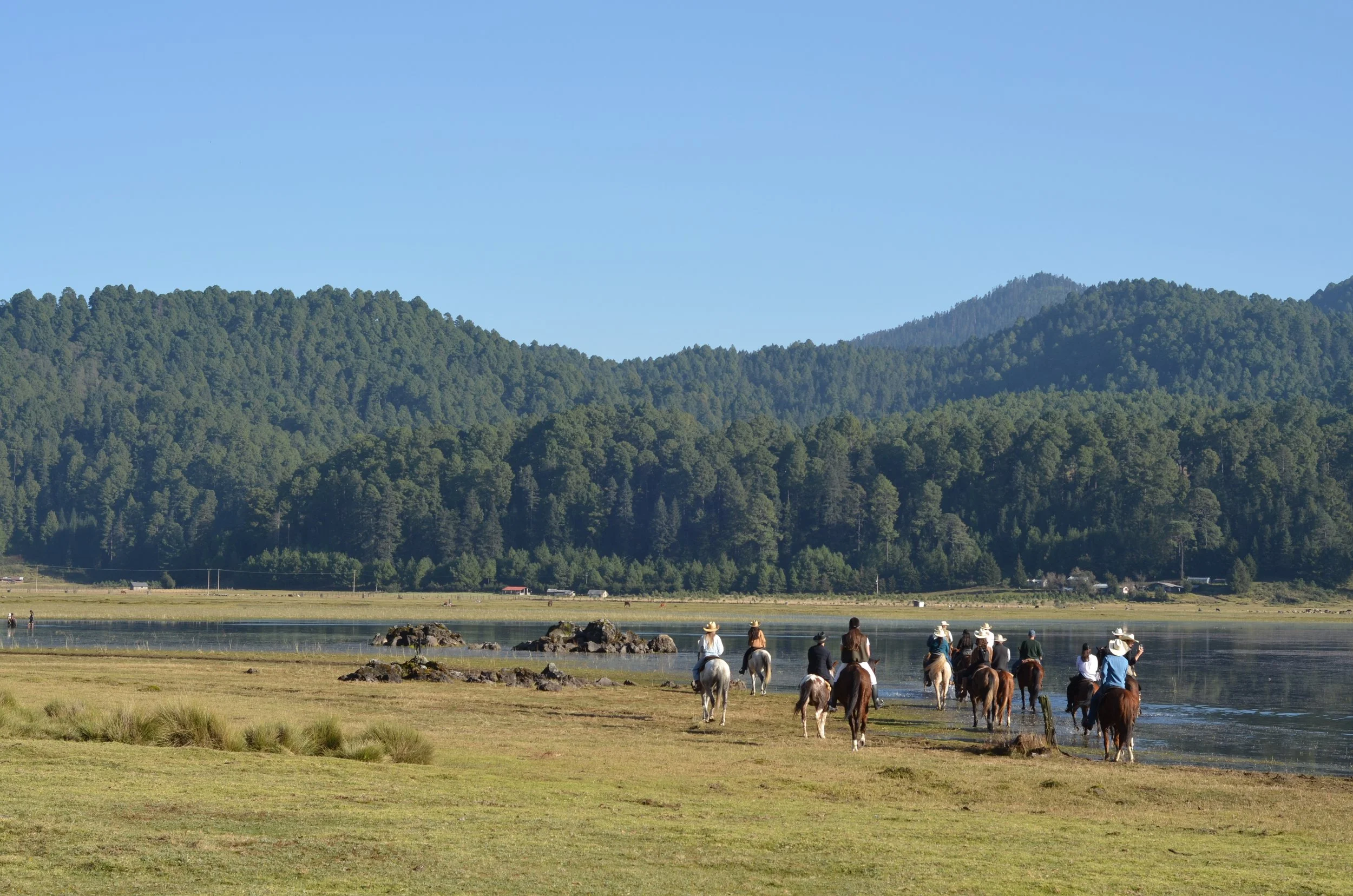 Cabalgata
