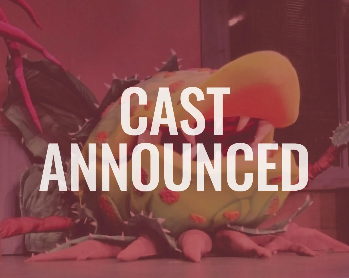Cast Announced for Little Shop of Horrors