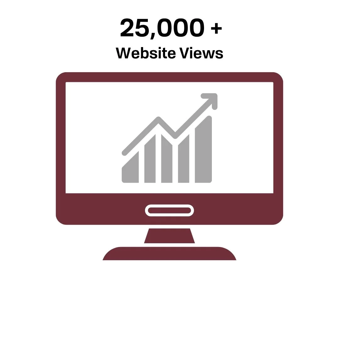 Website Views.jpg