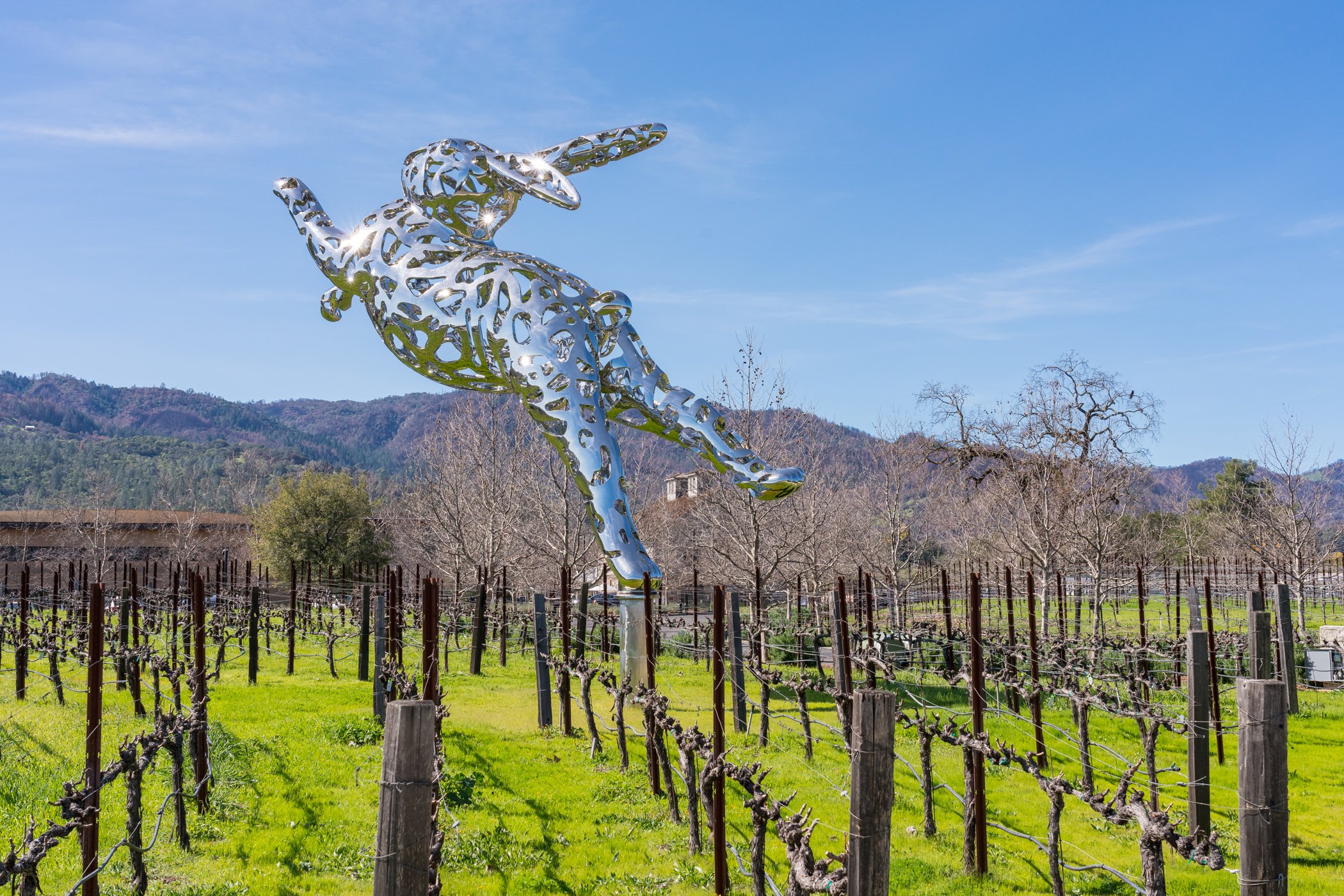 Large metallic sculpture of a kangaroo in a leaping pose stands in a vineyard with bare grapevines, green grass, leafless trees, and mountains in the background under a clear blue sky.